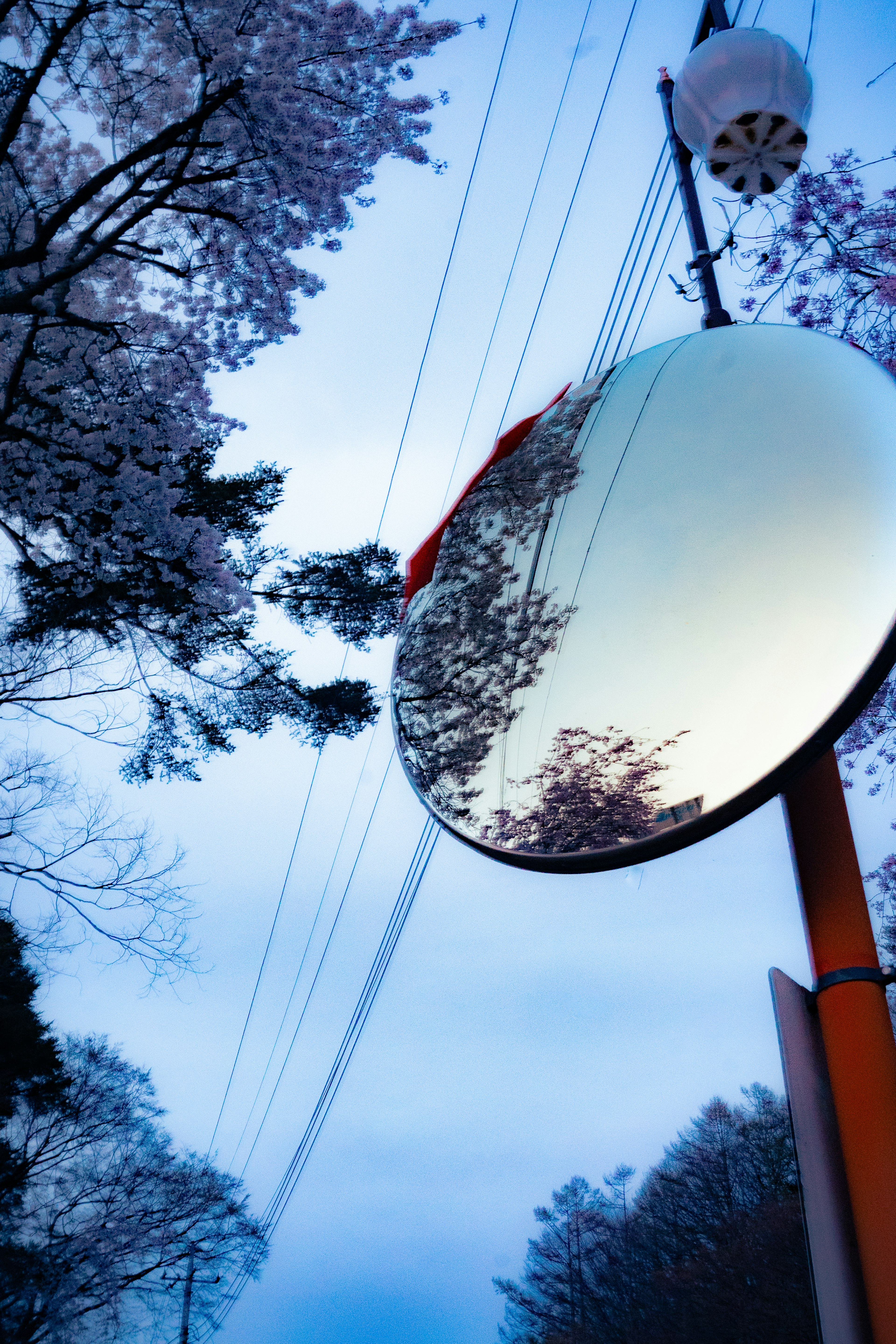 Miroir rond reflétant des cerisiers et des lignes électriques