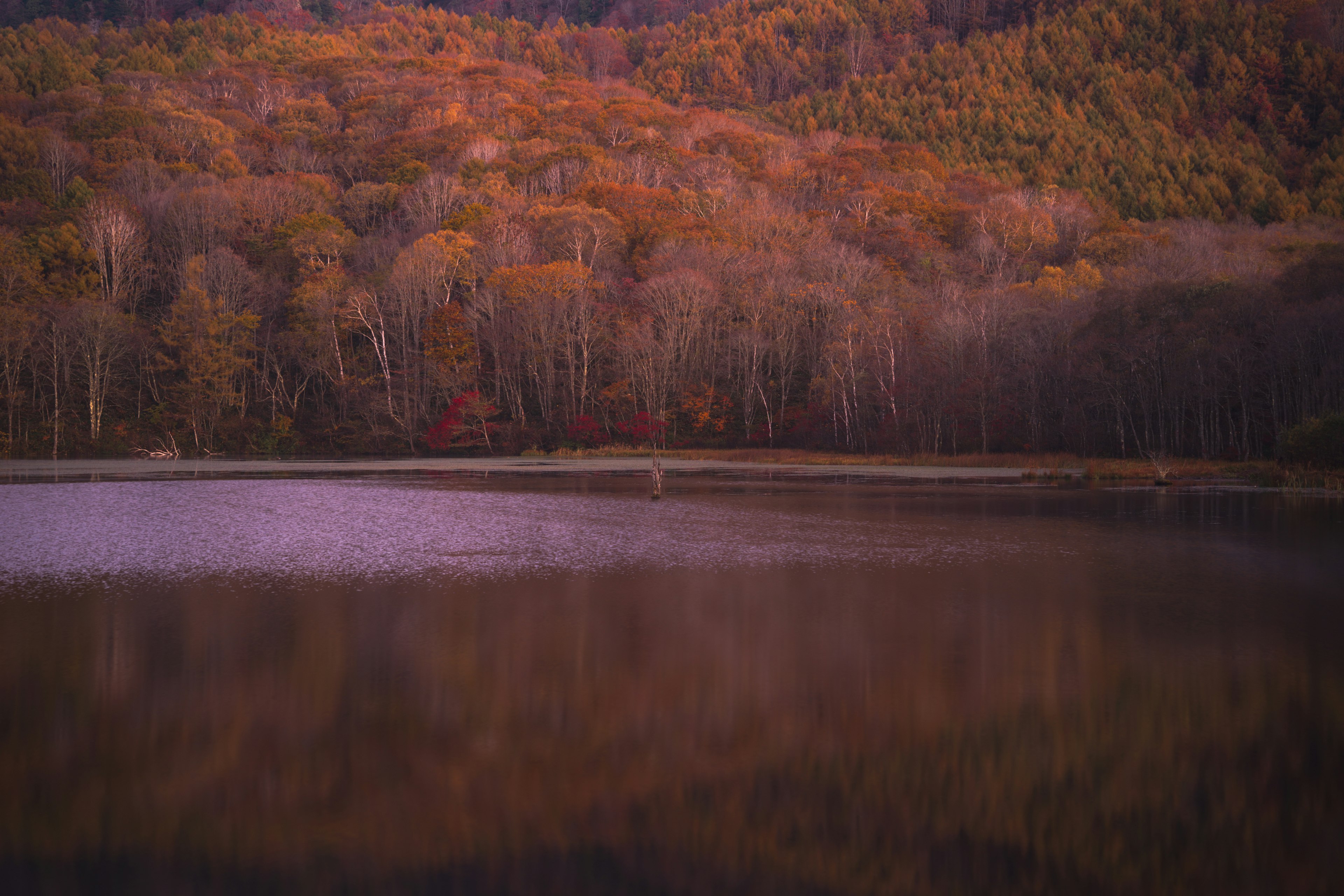 静かな湖と秋の紅葉に覆われた山々の景色