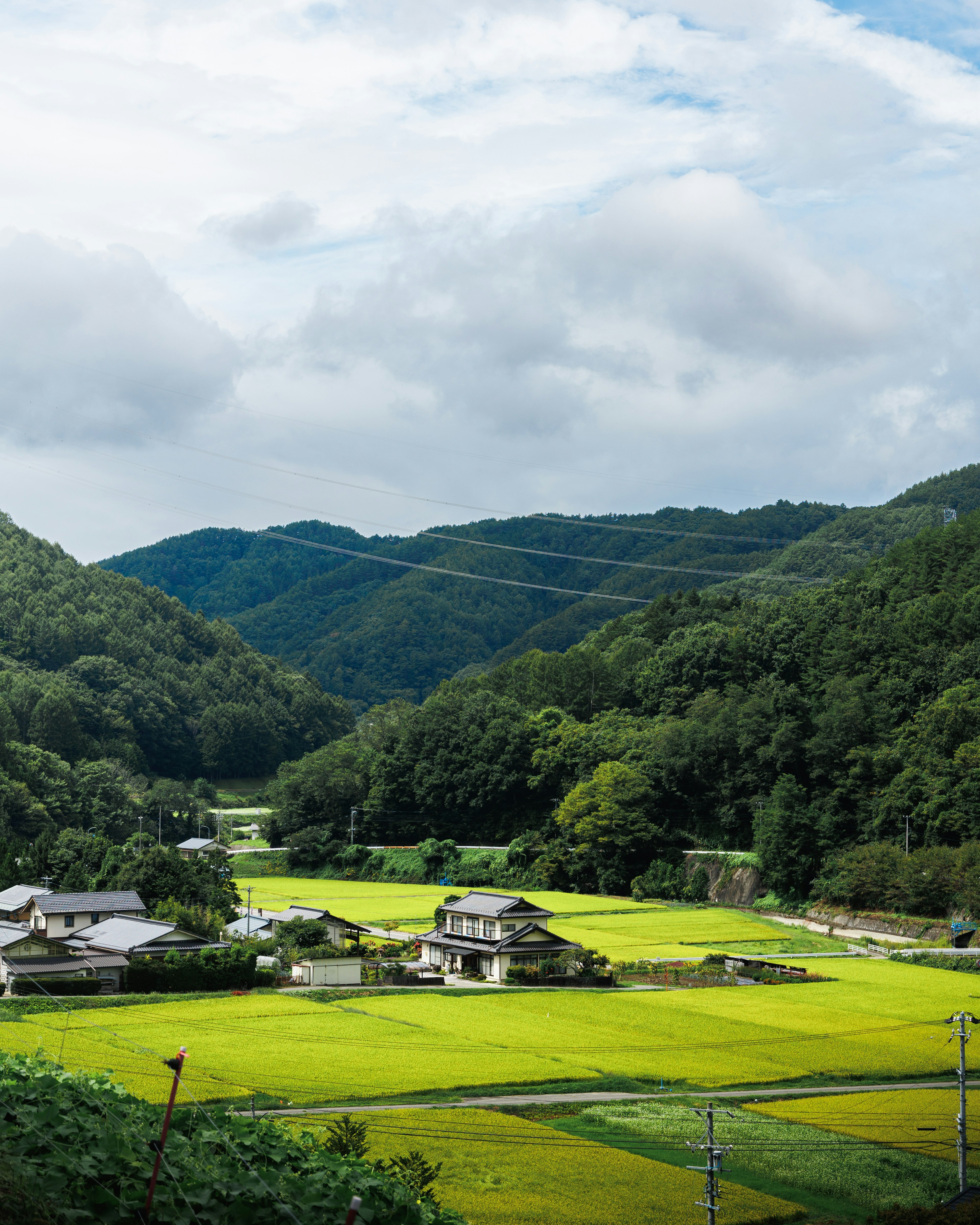 被郁郁蔥蔥的綠色山脈環繞的鄉村風景 稻田和房屋