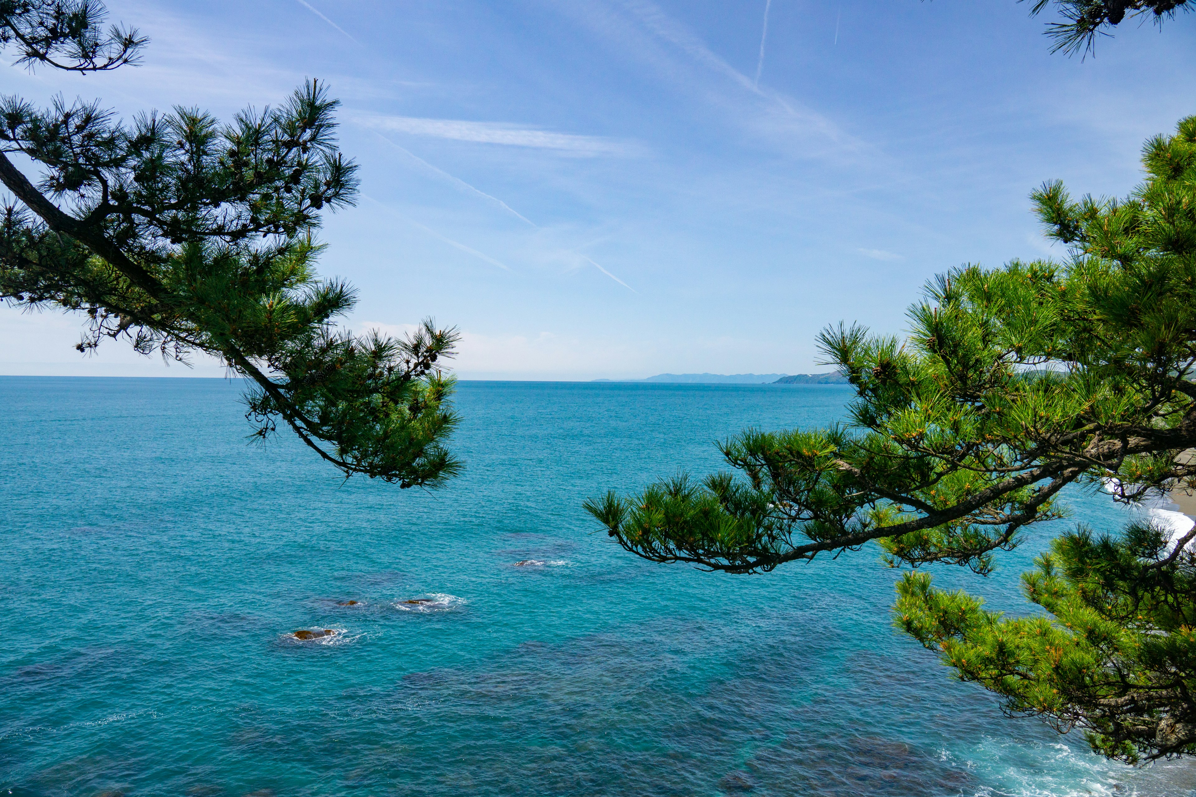 Blick auf Bäume, die ein türkisfarbenes Meer und einen blauen Himmel umrahmen