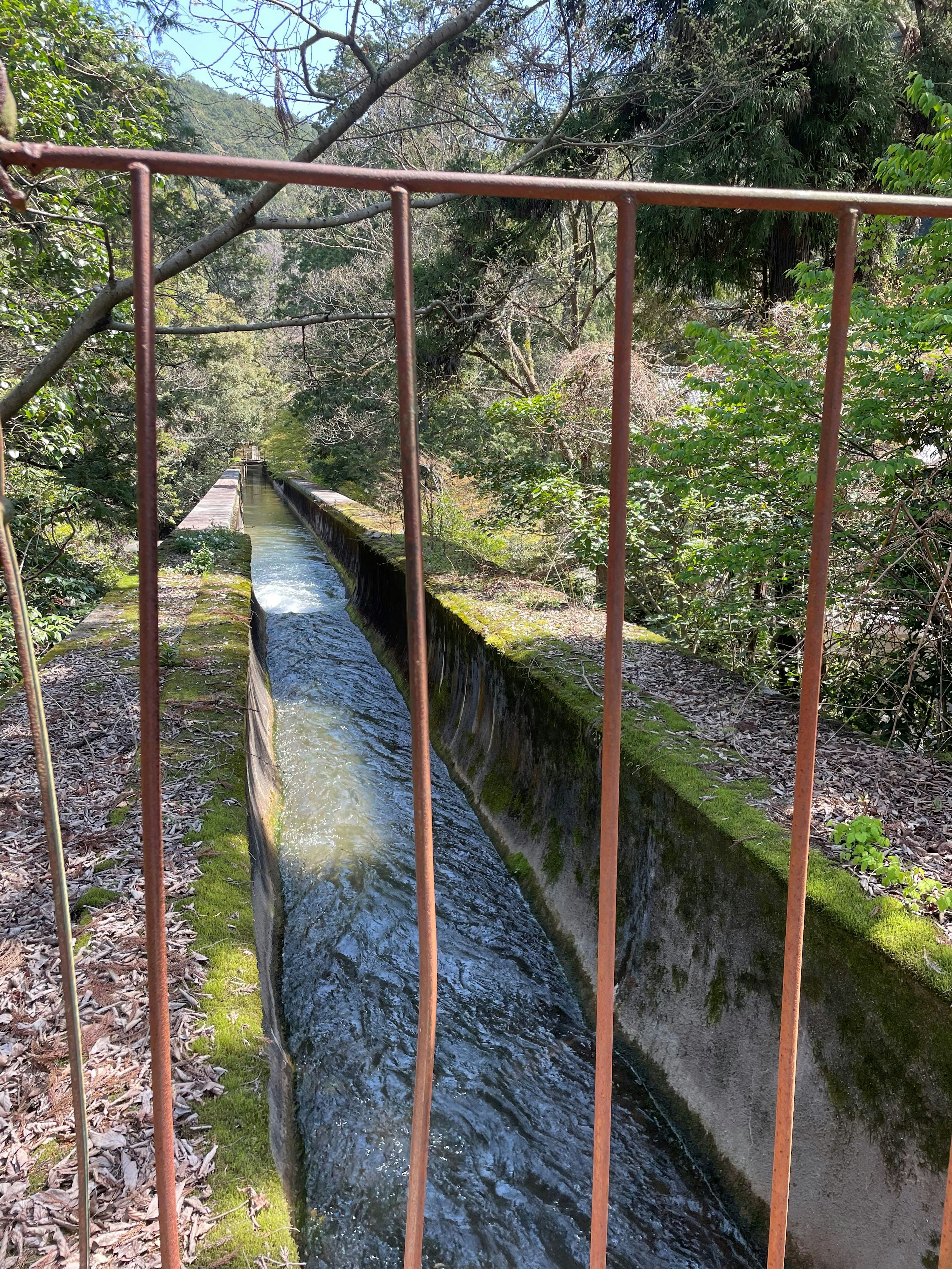 Ein Foto eines Wasserkanals, umgeben von grünen Bäumen, mit einem Metallzaun im Vordergrund, der fließendes Wasser zeigt