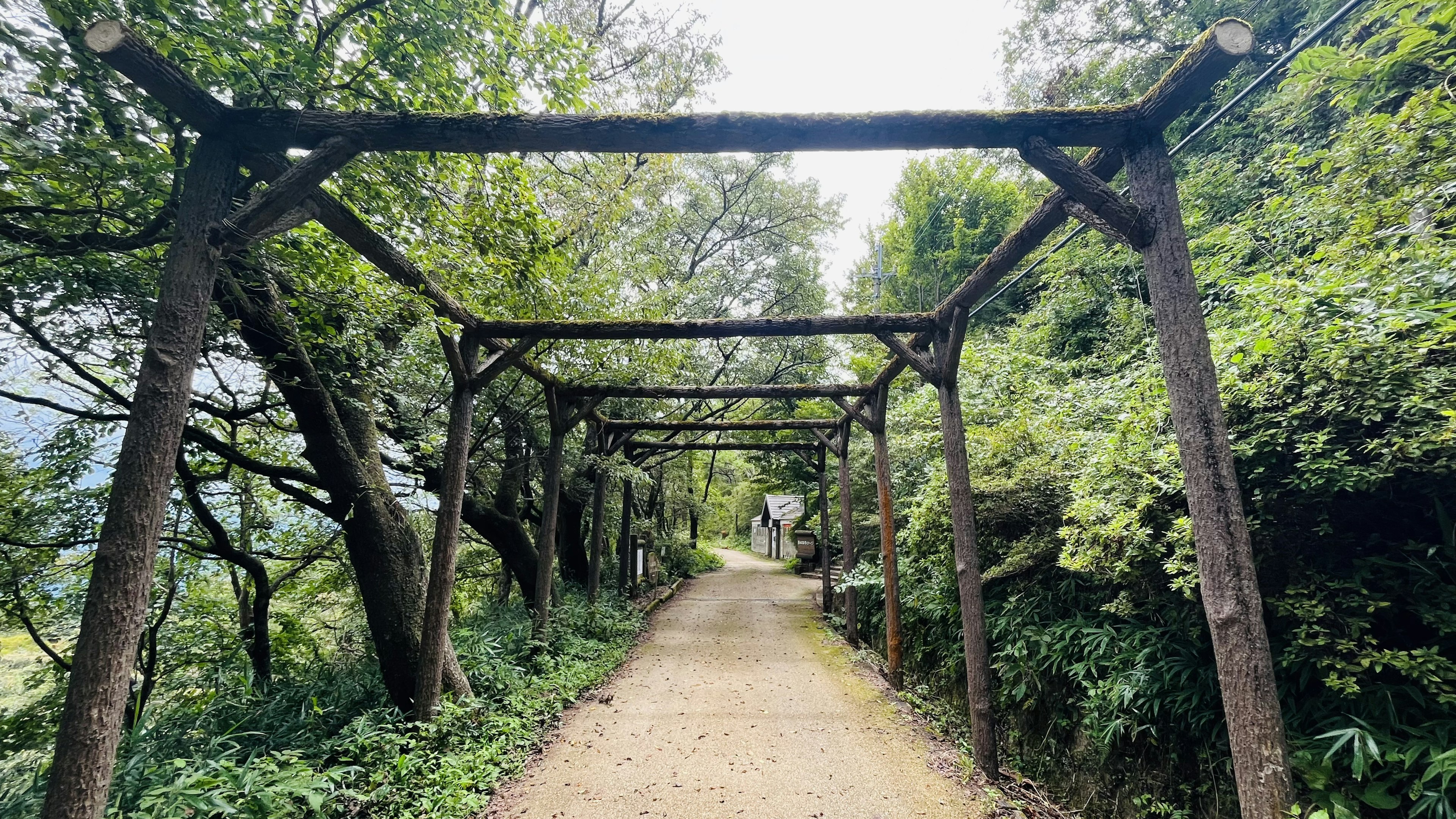 Arches en bois le long d'un chemin bordé d'arbres entouré de verdure luxuriante