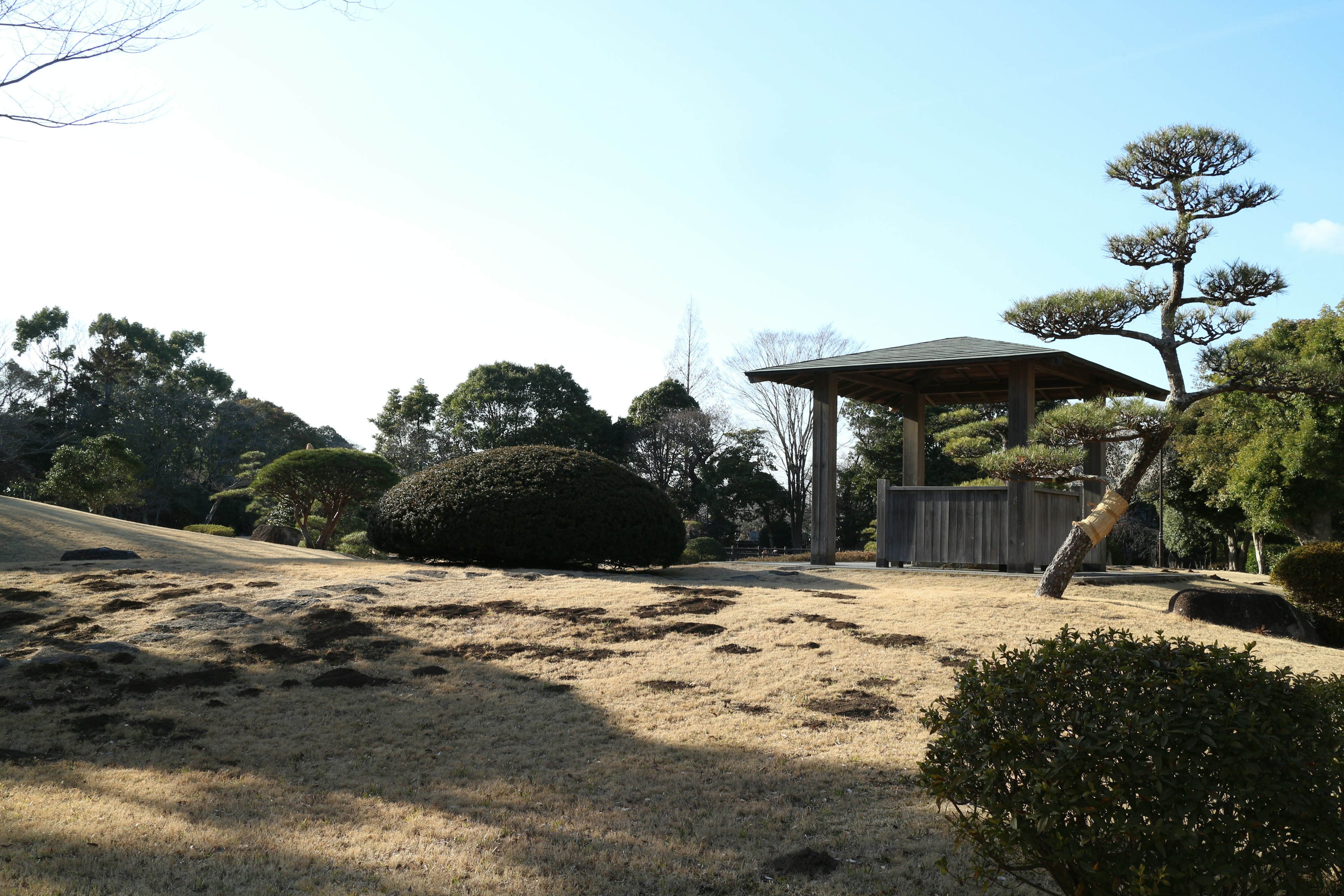 Pemandangan taman dengan struktur Jepang tradisional tanaman hijau subur rumput kering langit tenang suasana damai