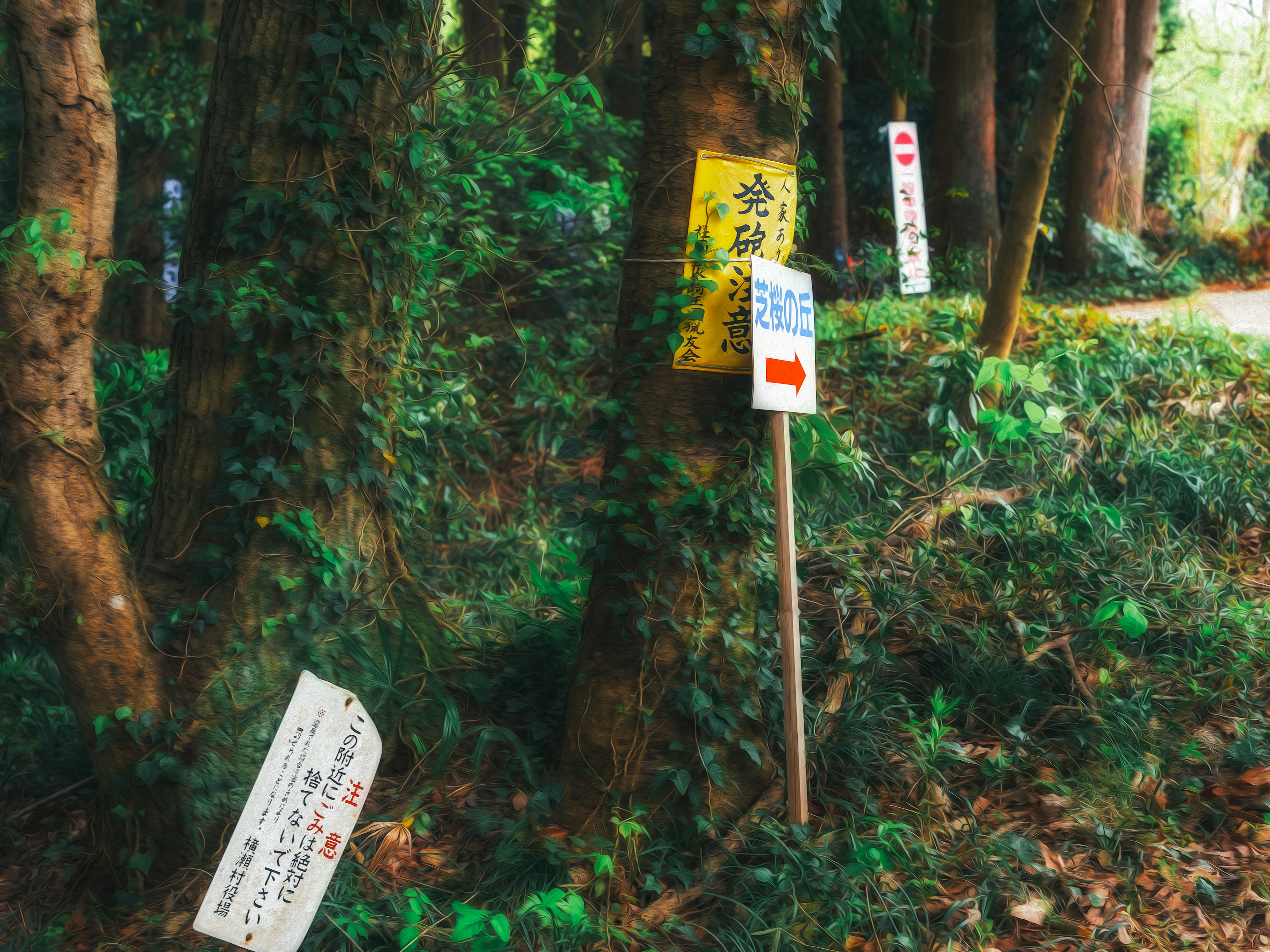 A scene featuring several signs in a forest