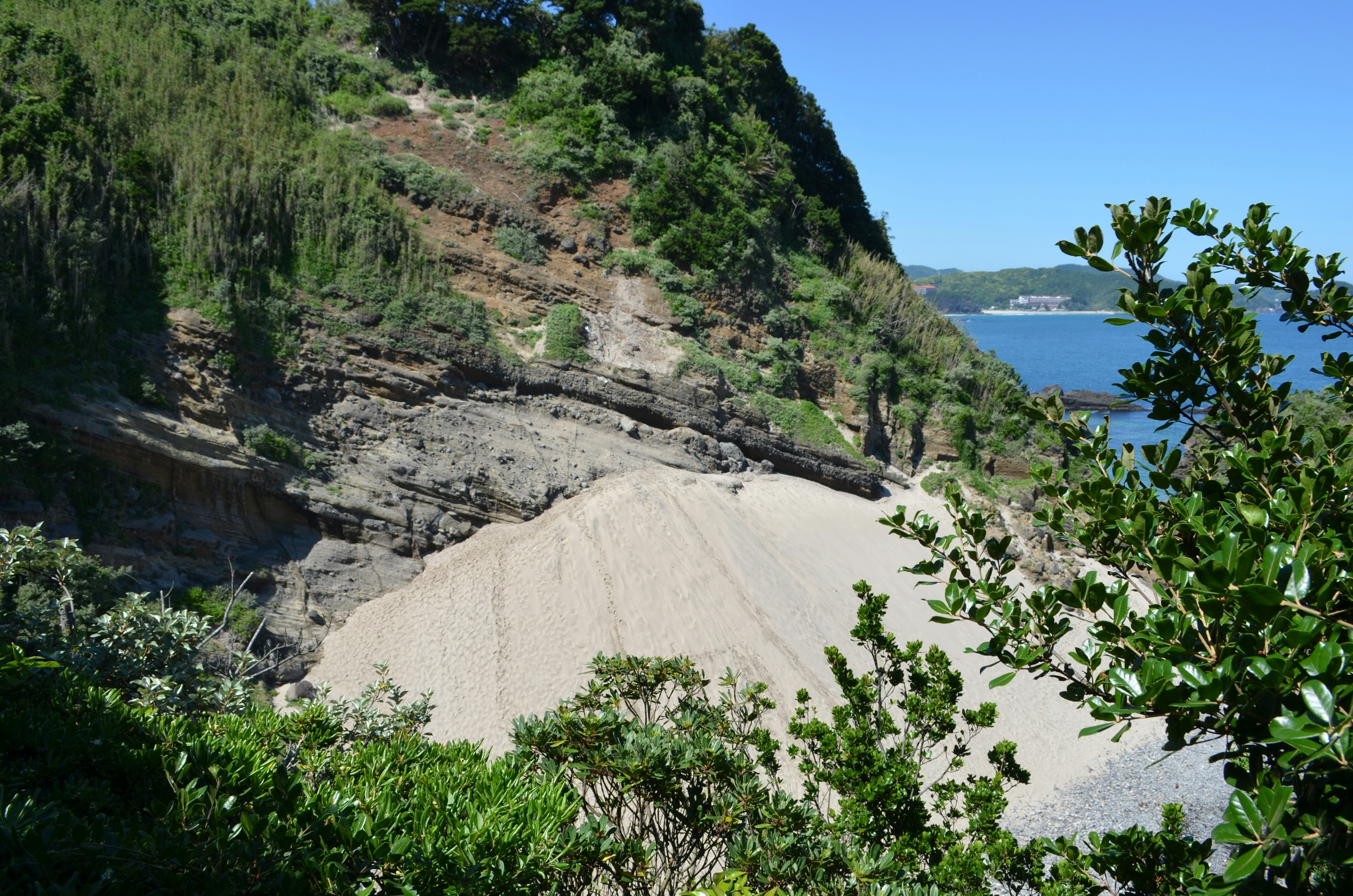 Vista costiera con spiaggia sabbiosa e scogliere lussureggianti