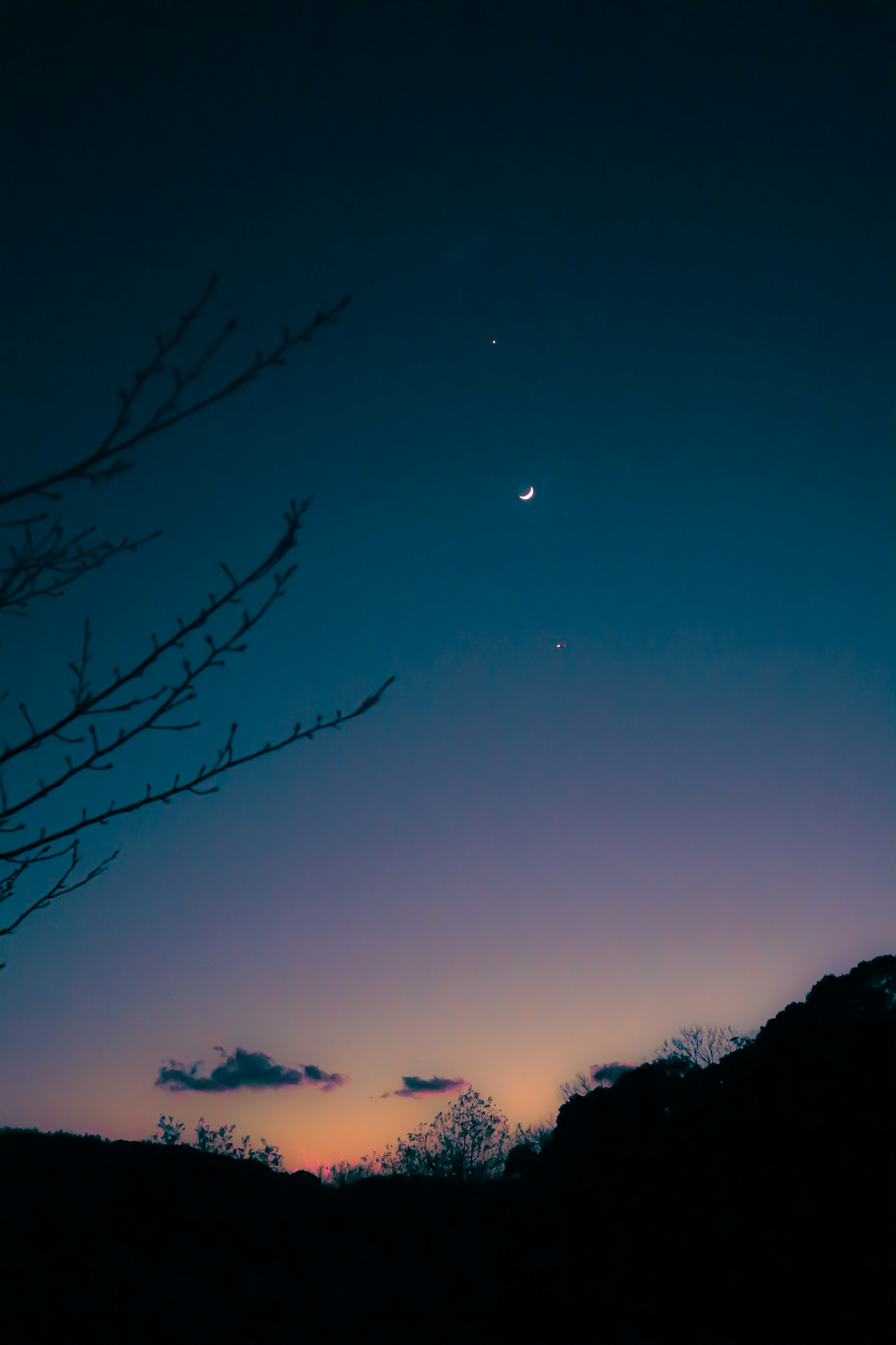 美しい夕焼けの空に浮かぶ星々と木のシルエット