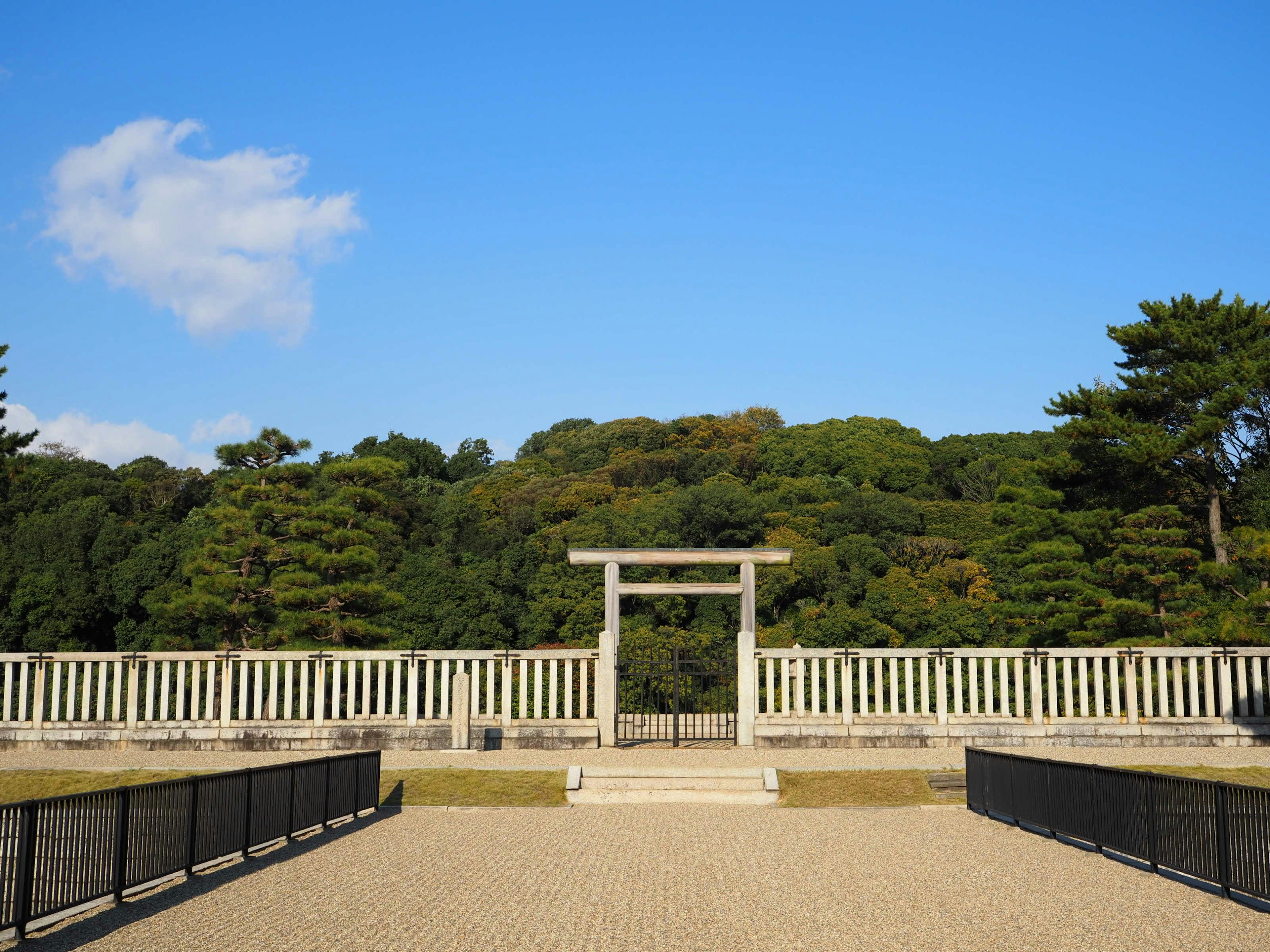 青空の下にある鳥居と緑の森の背景