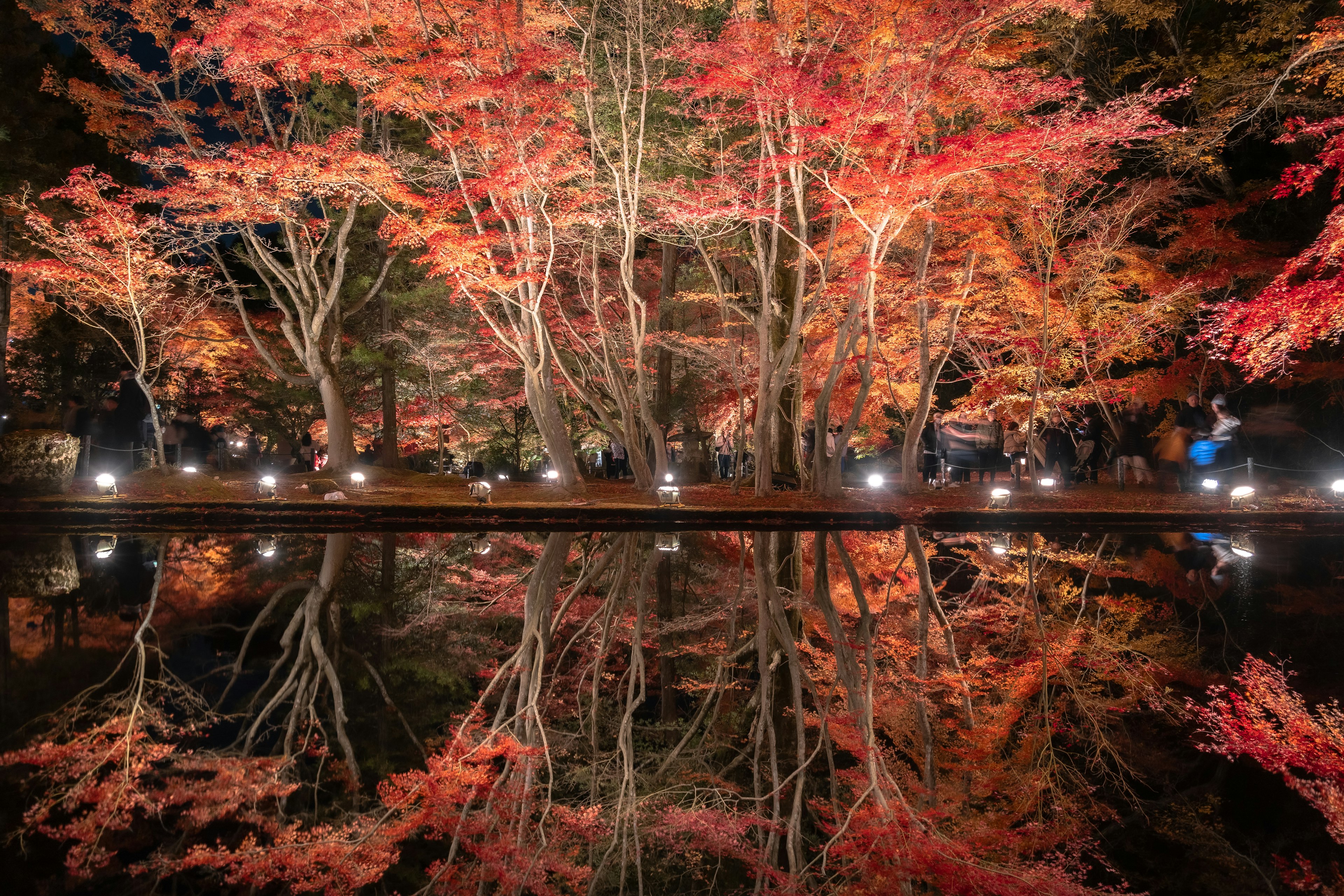 Scenic view of autumn foliage reflecting in a pond illuminated by night lights