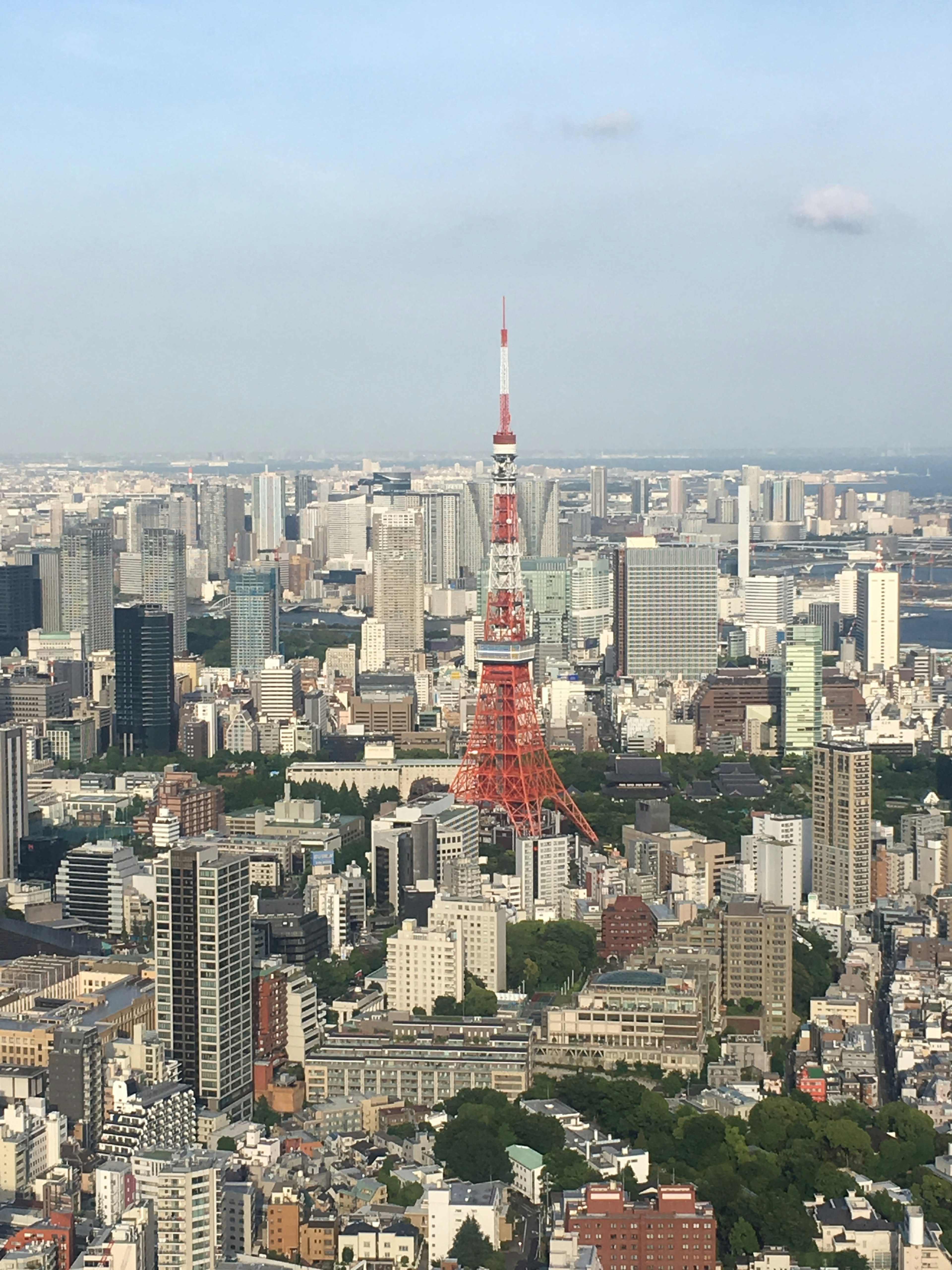 View of Tokyo Tower amidst the skyline of Tokyo