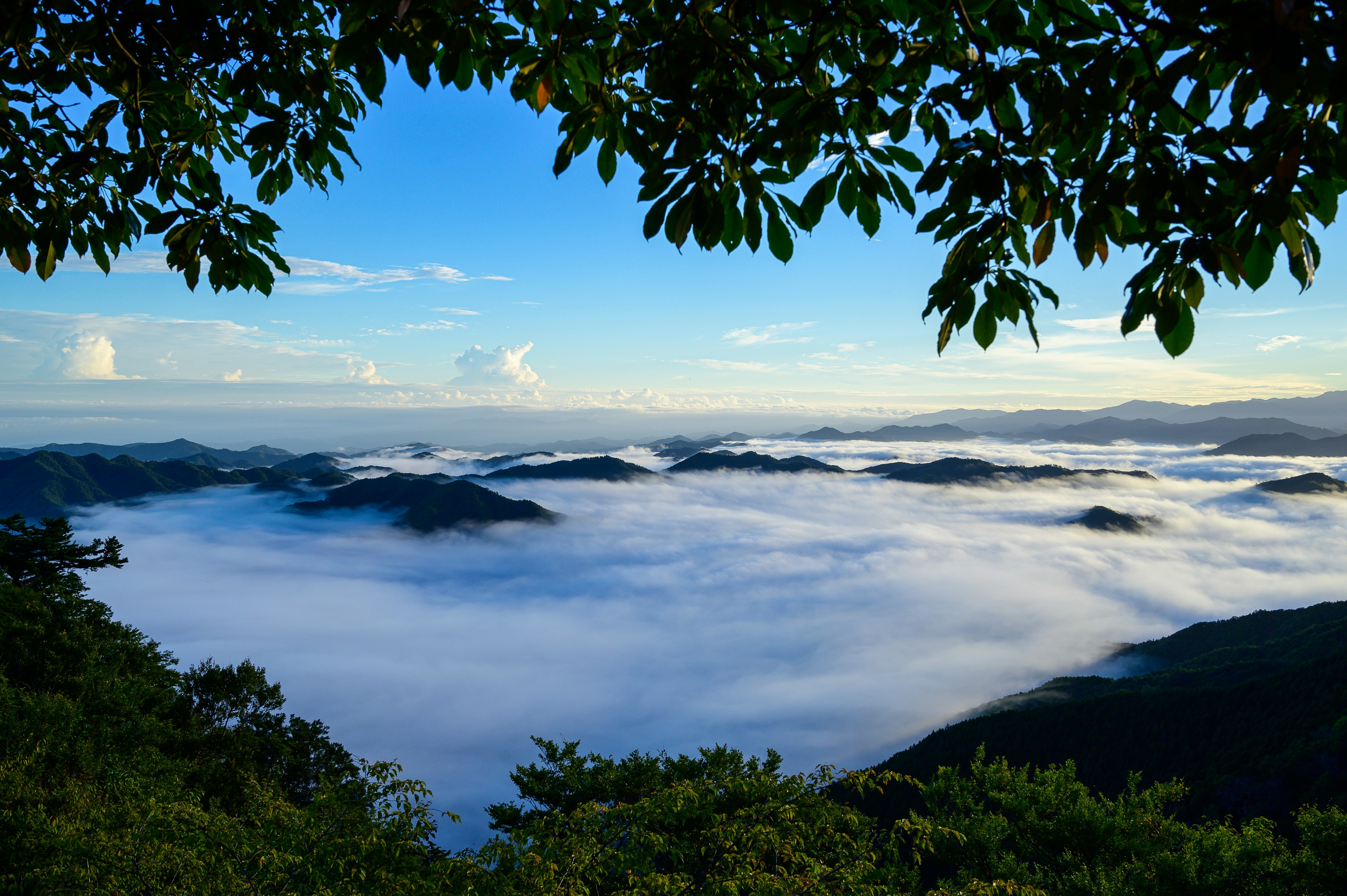 Paisaje montañoso rodeado de cielo azul y mar de nubes