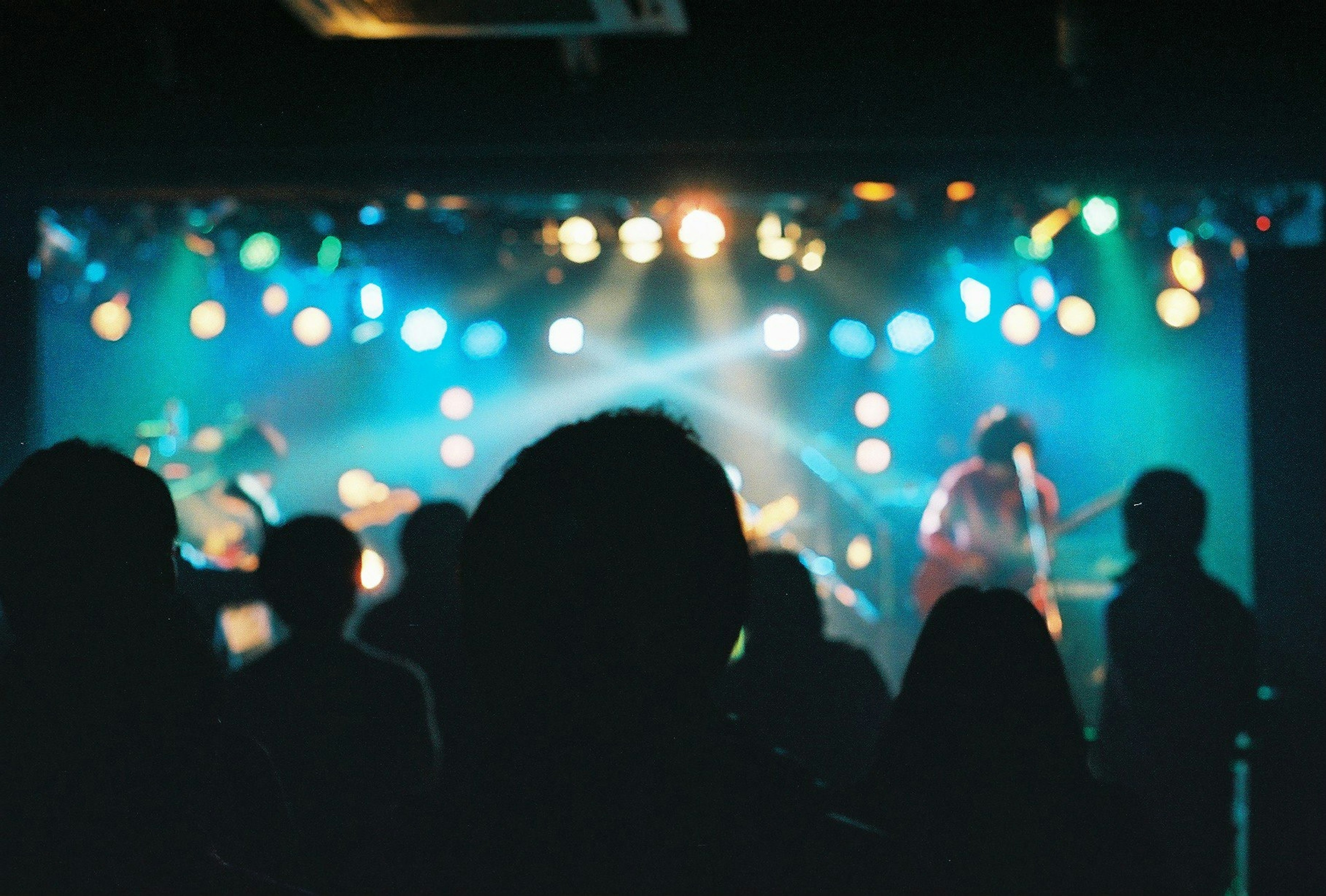 Audience silhouettes at a live performance with colorful stage lights