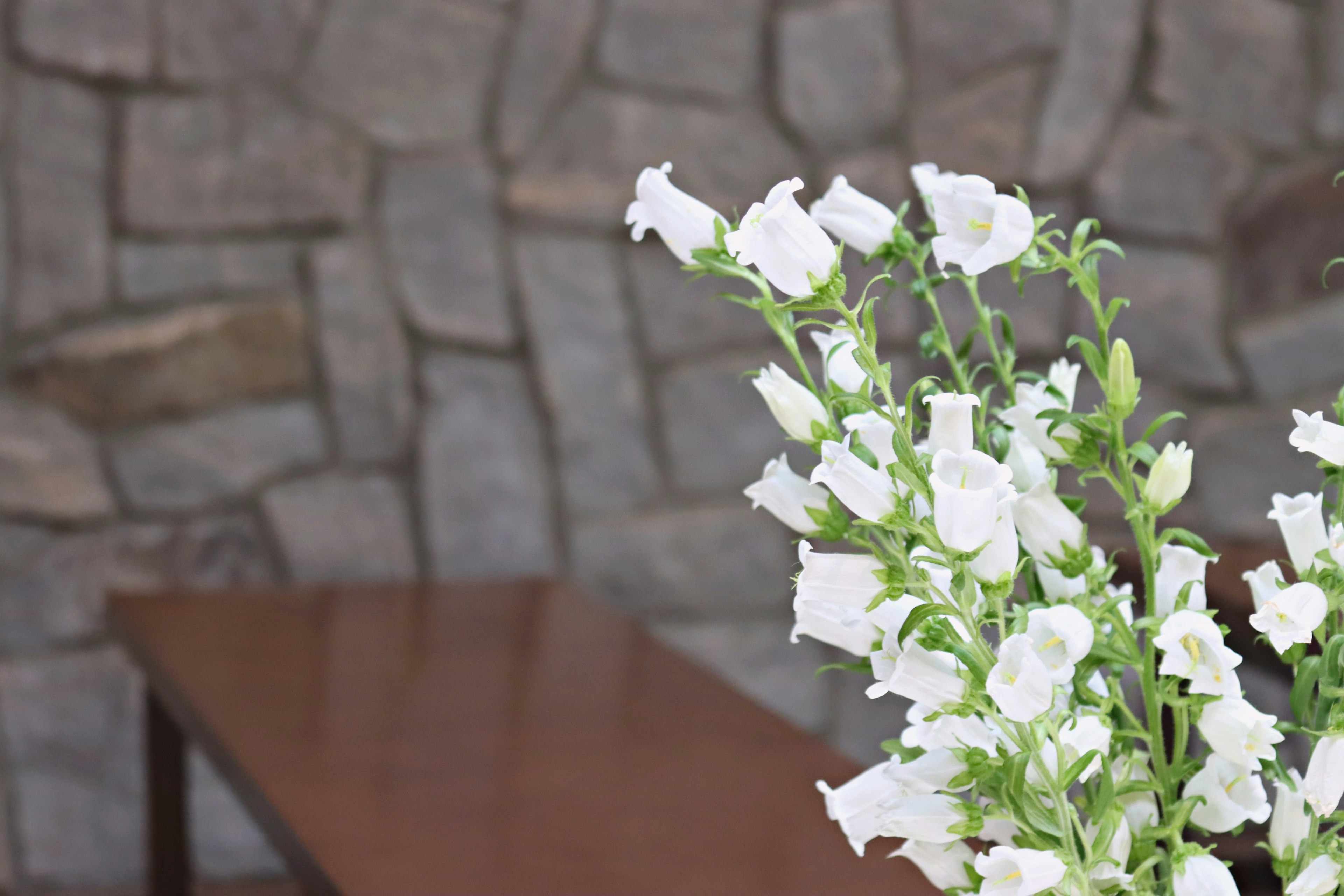 A bouquet of white flowers in a vase with a stone wall background and a wooden table