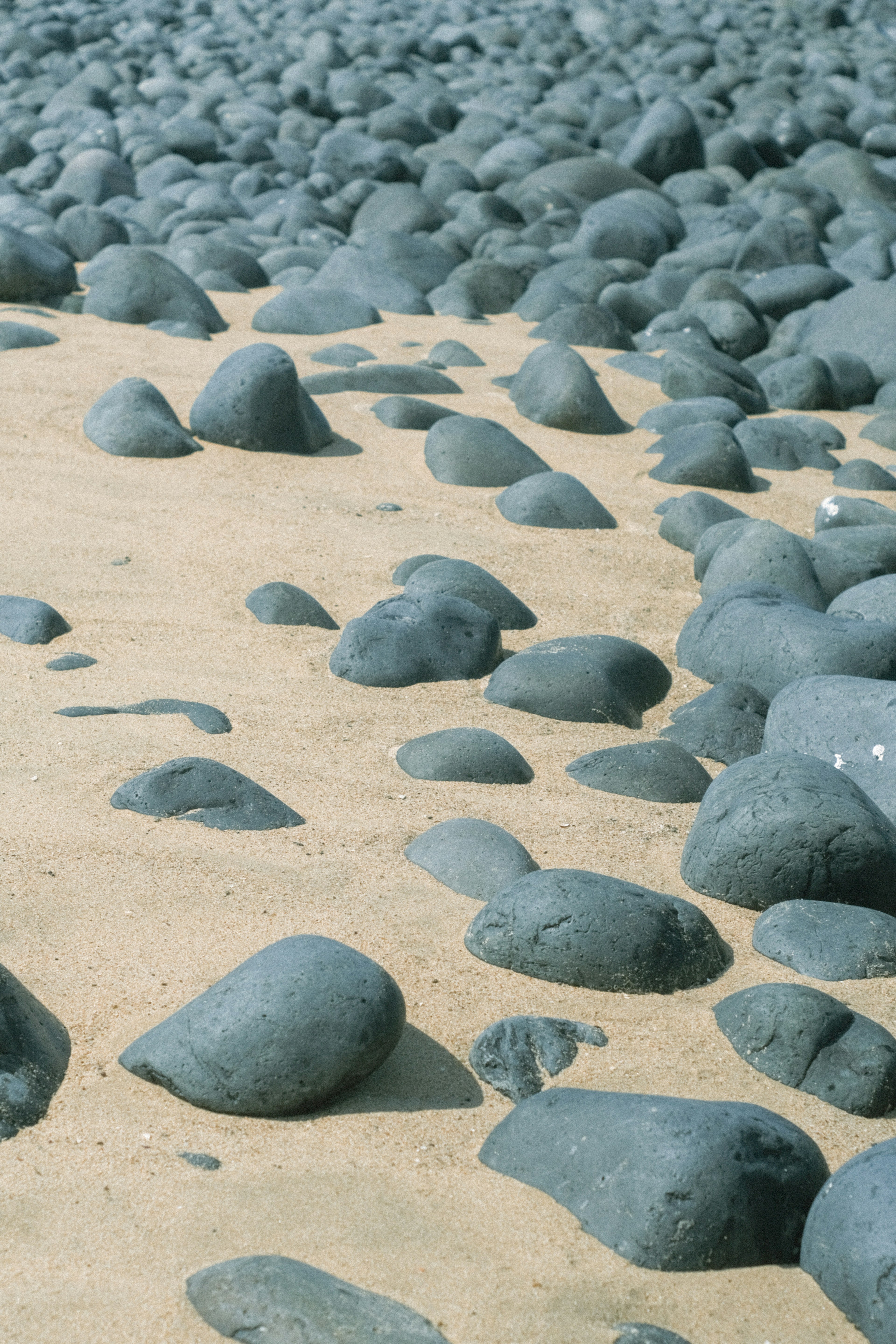 ทิวทัศน์ของก้อนหินสีดำที่กระจัดกระจายบนชายหาดทราย