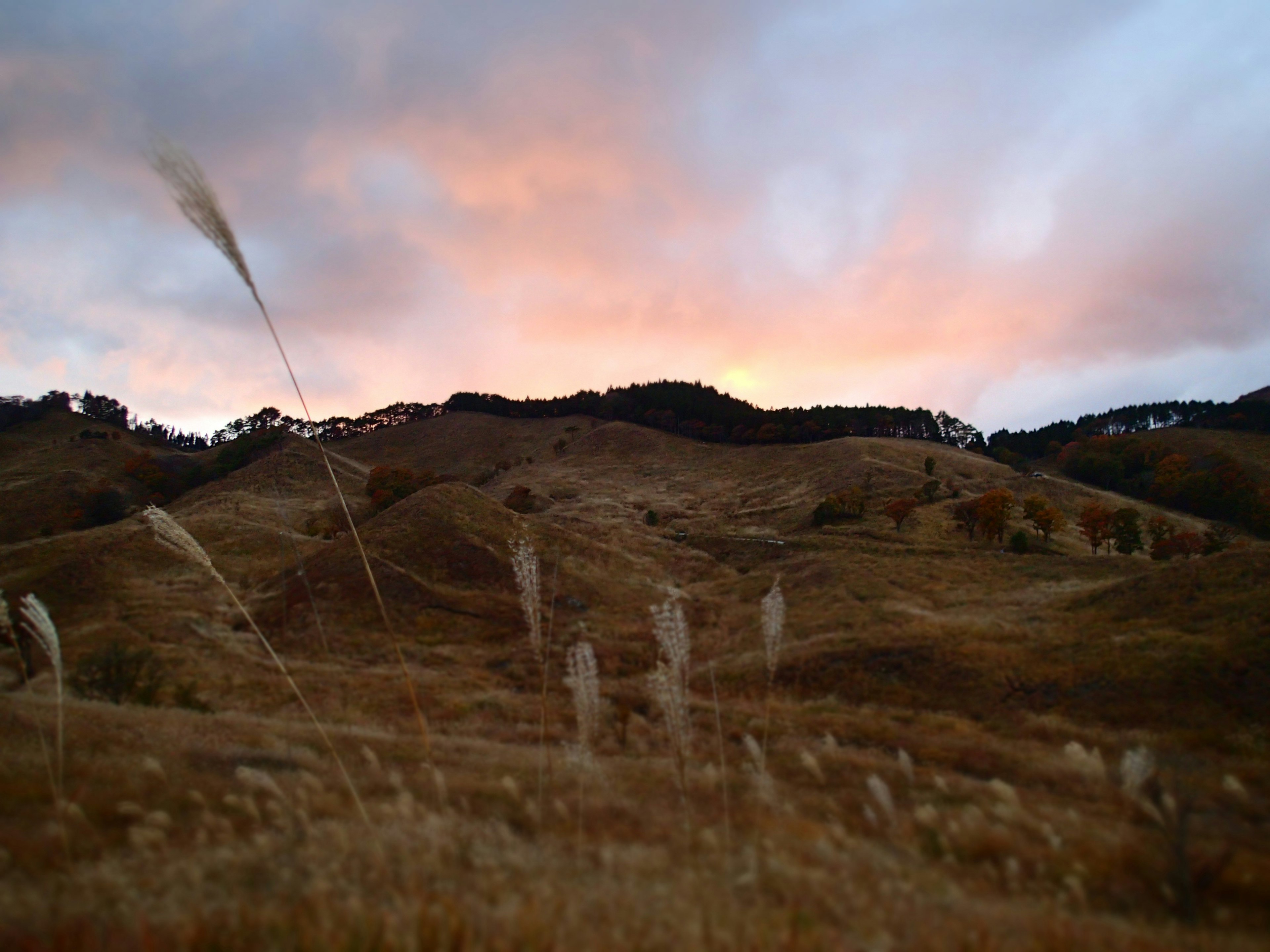 穏やかな夕暮れの景色、柔らかい草原と山々、ピンクとオレンジの空