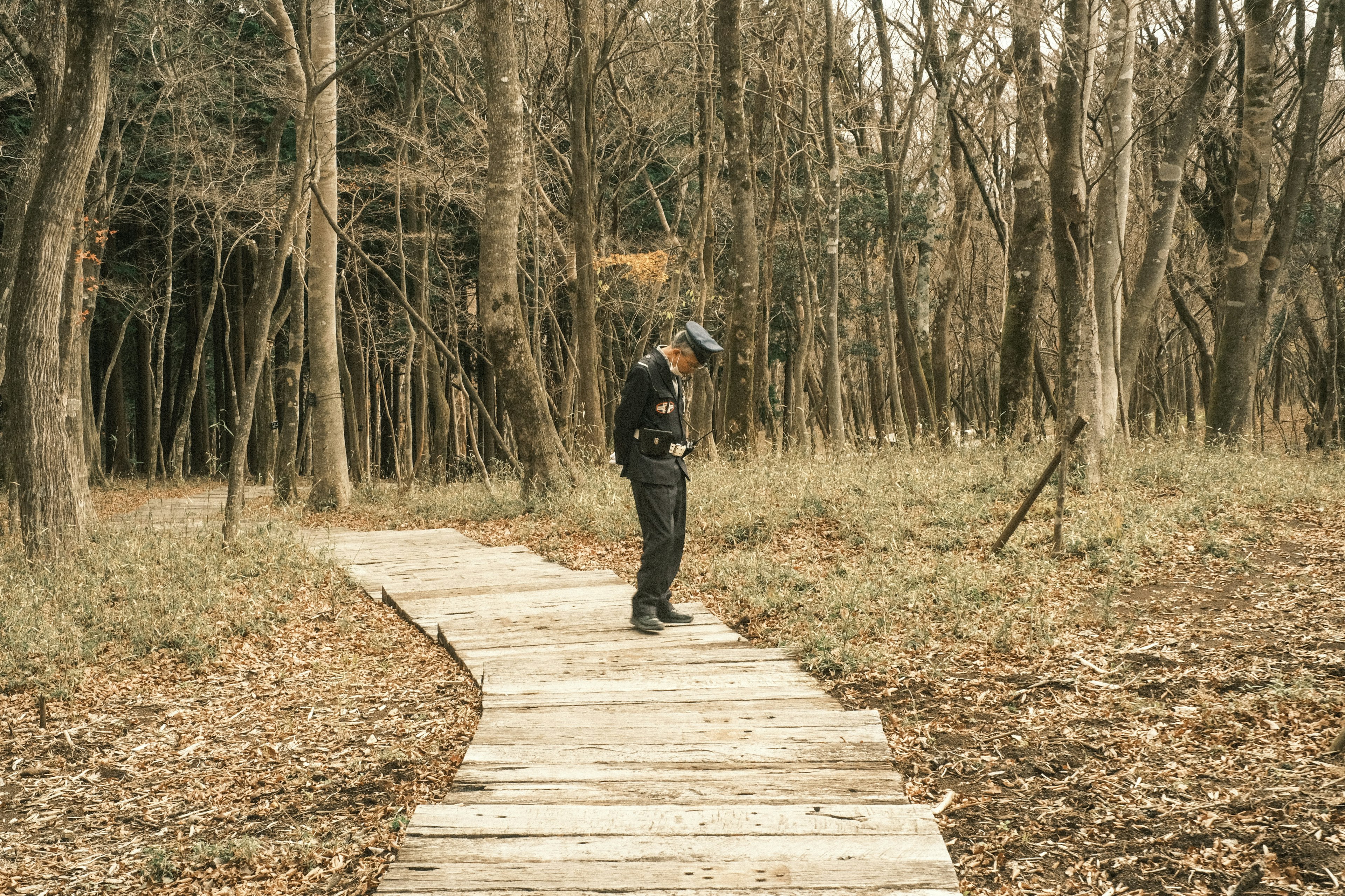 Eine Person, die auf einem Holzweg geht, umgeben von trockenem Gras und Bäumen