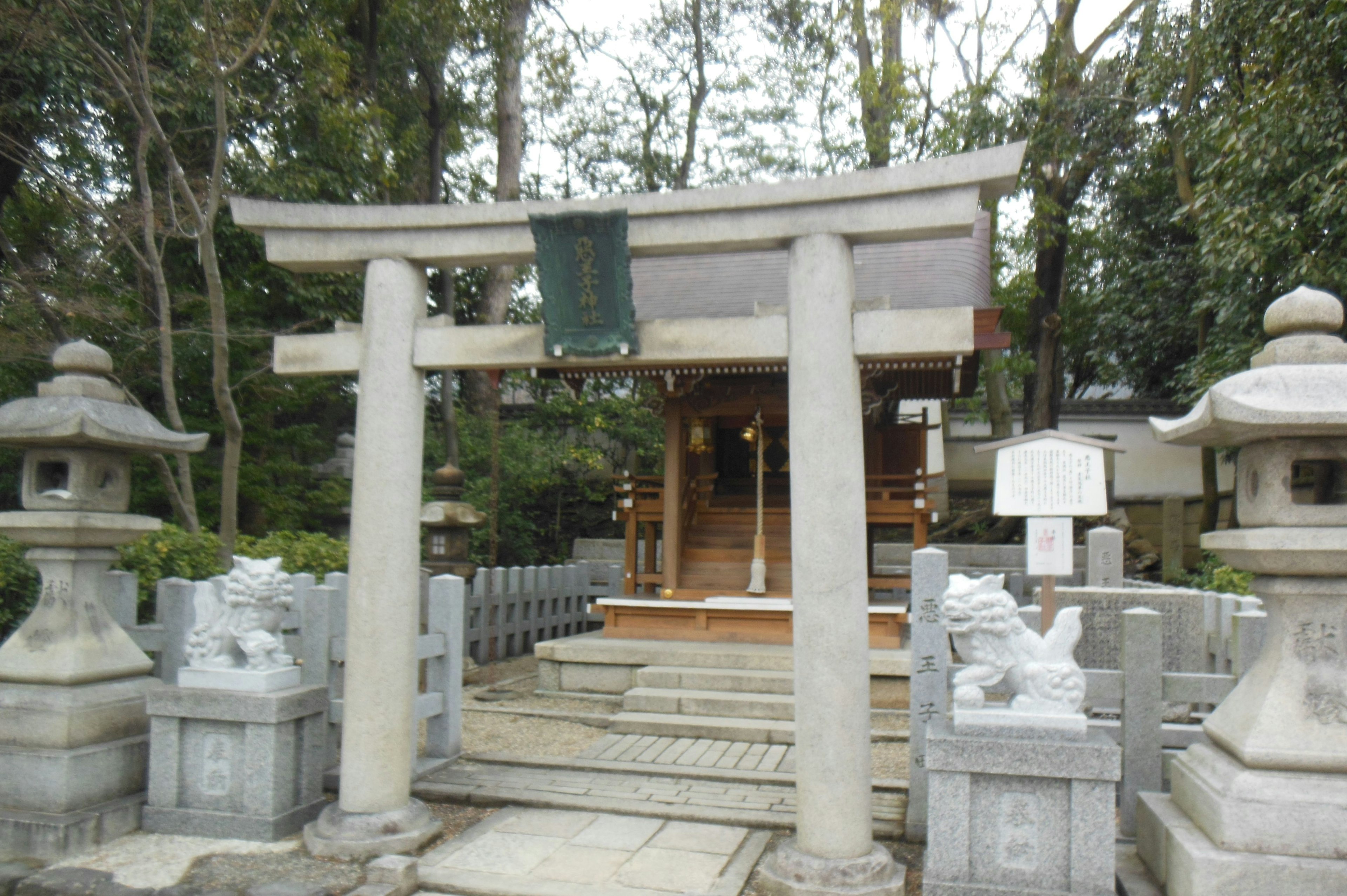 Portale torii e lanterne di pietra in un ambiente di santuario sereno