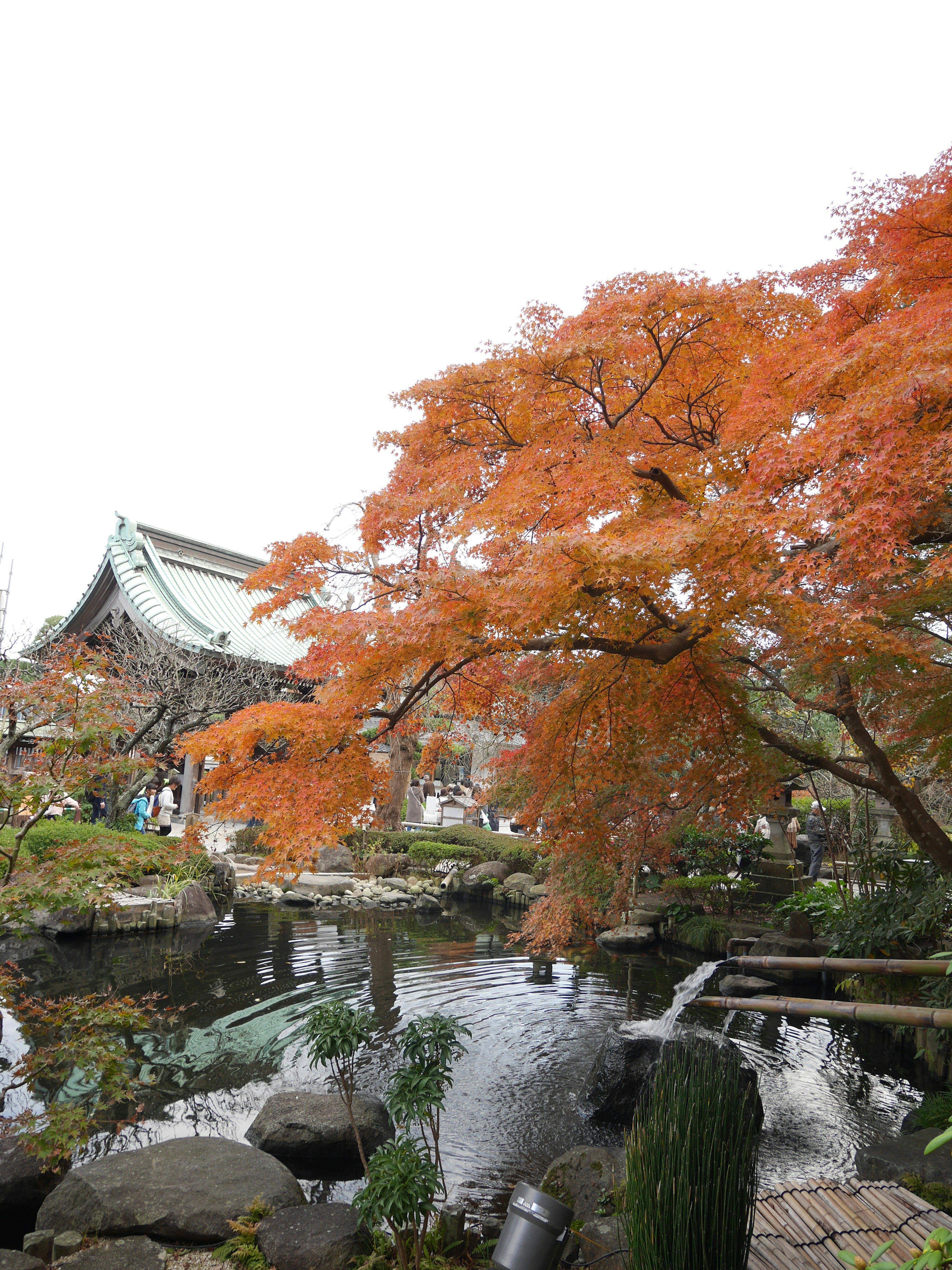 Vista escénica de un jardín japonés con un follaje otoñal vibrante