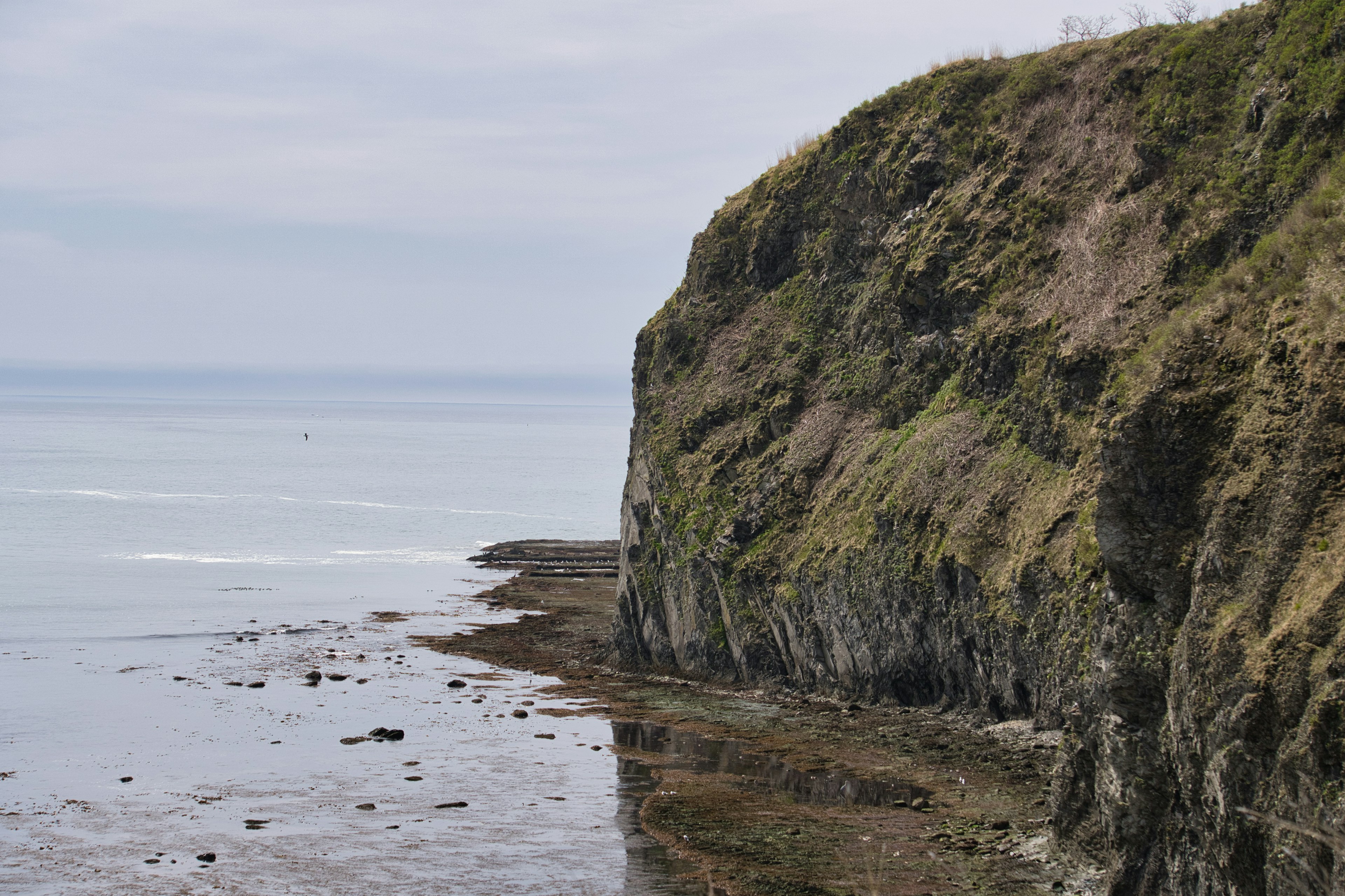 Vue de falaise avec océan calme et côte rocheuse