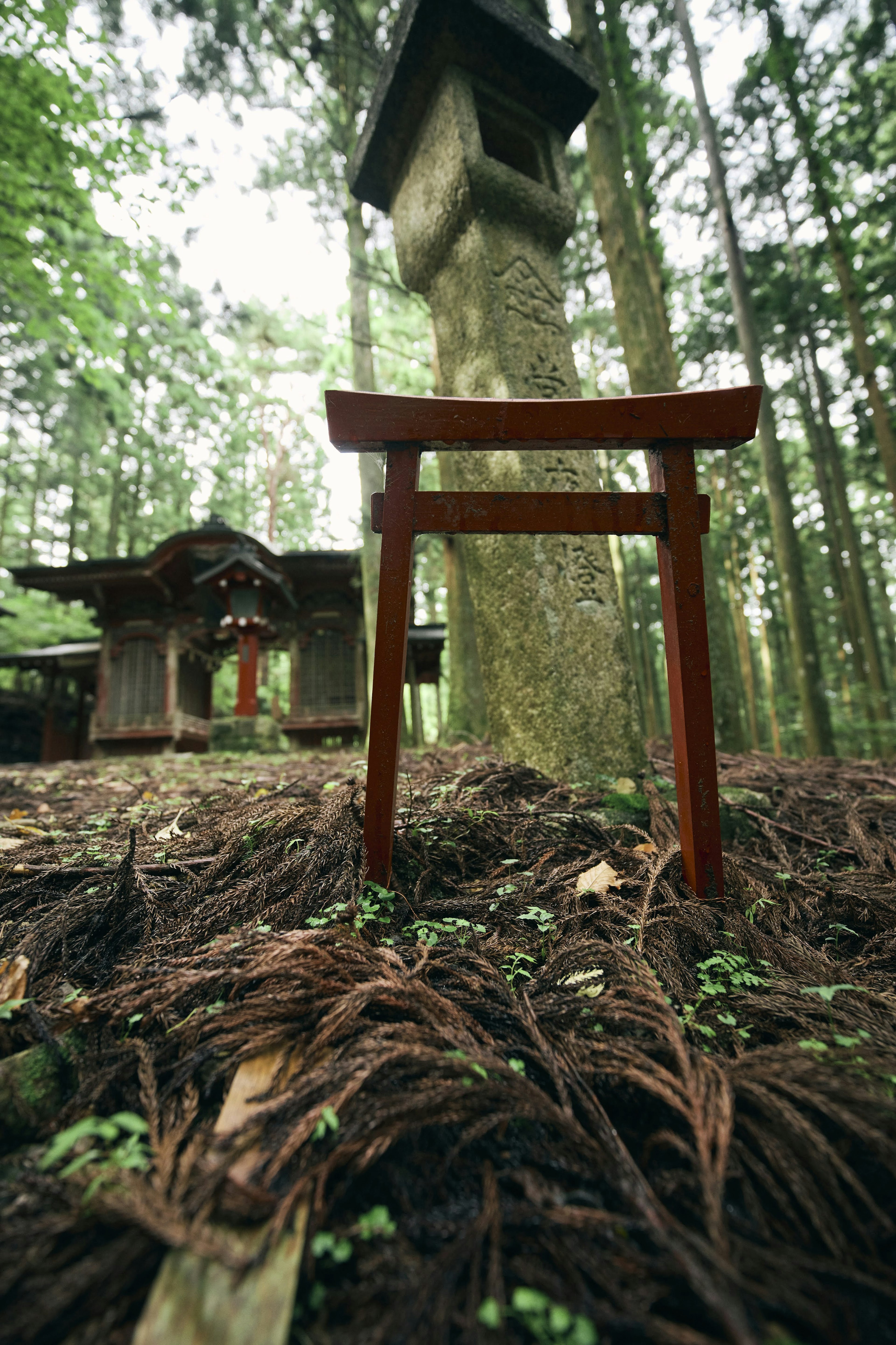 静かな森の中にある赤い鳥居と古い神社の風景