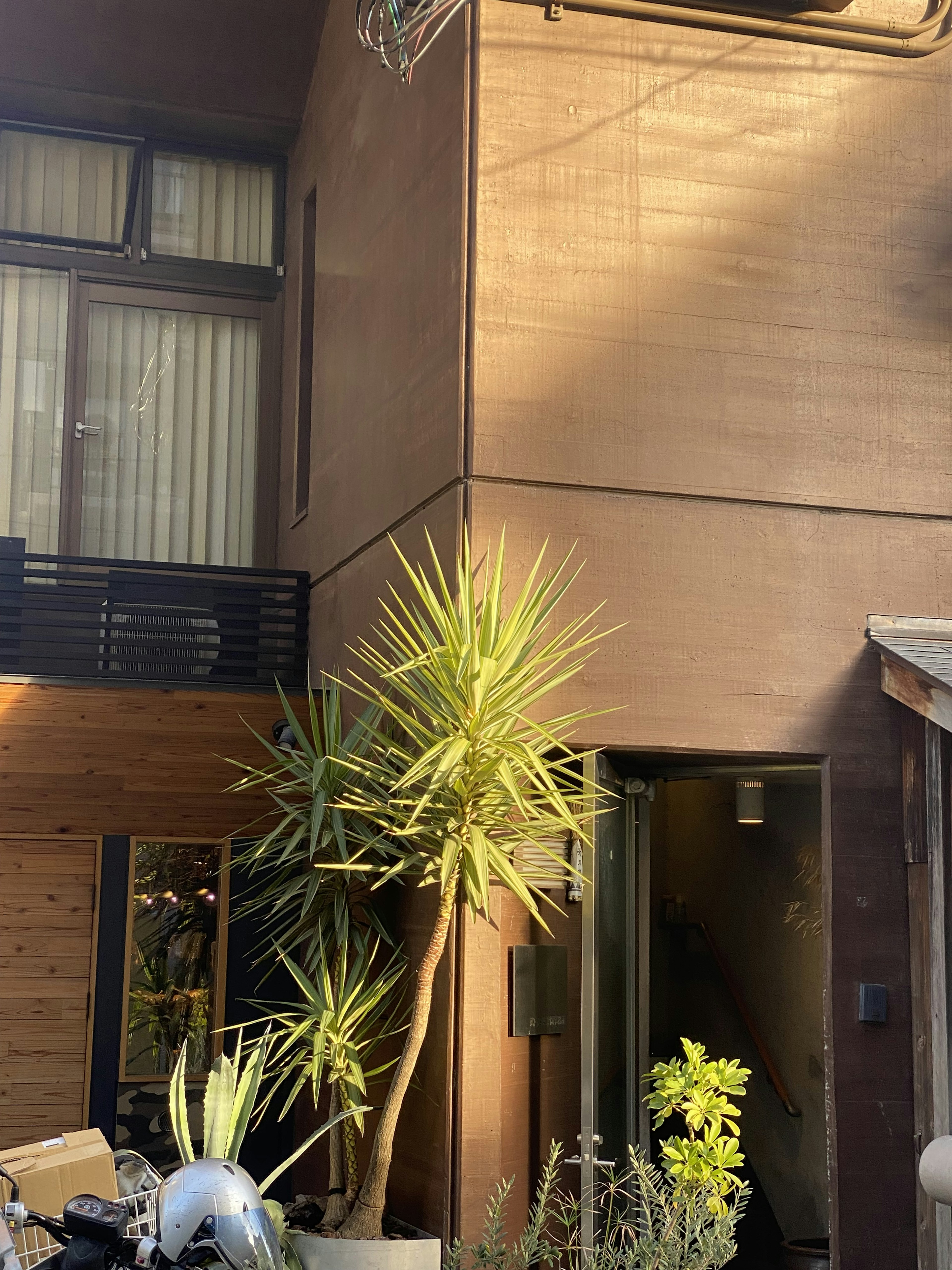 Modern building exterior with greenery and plants