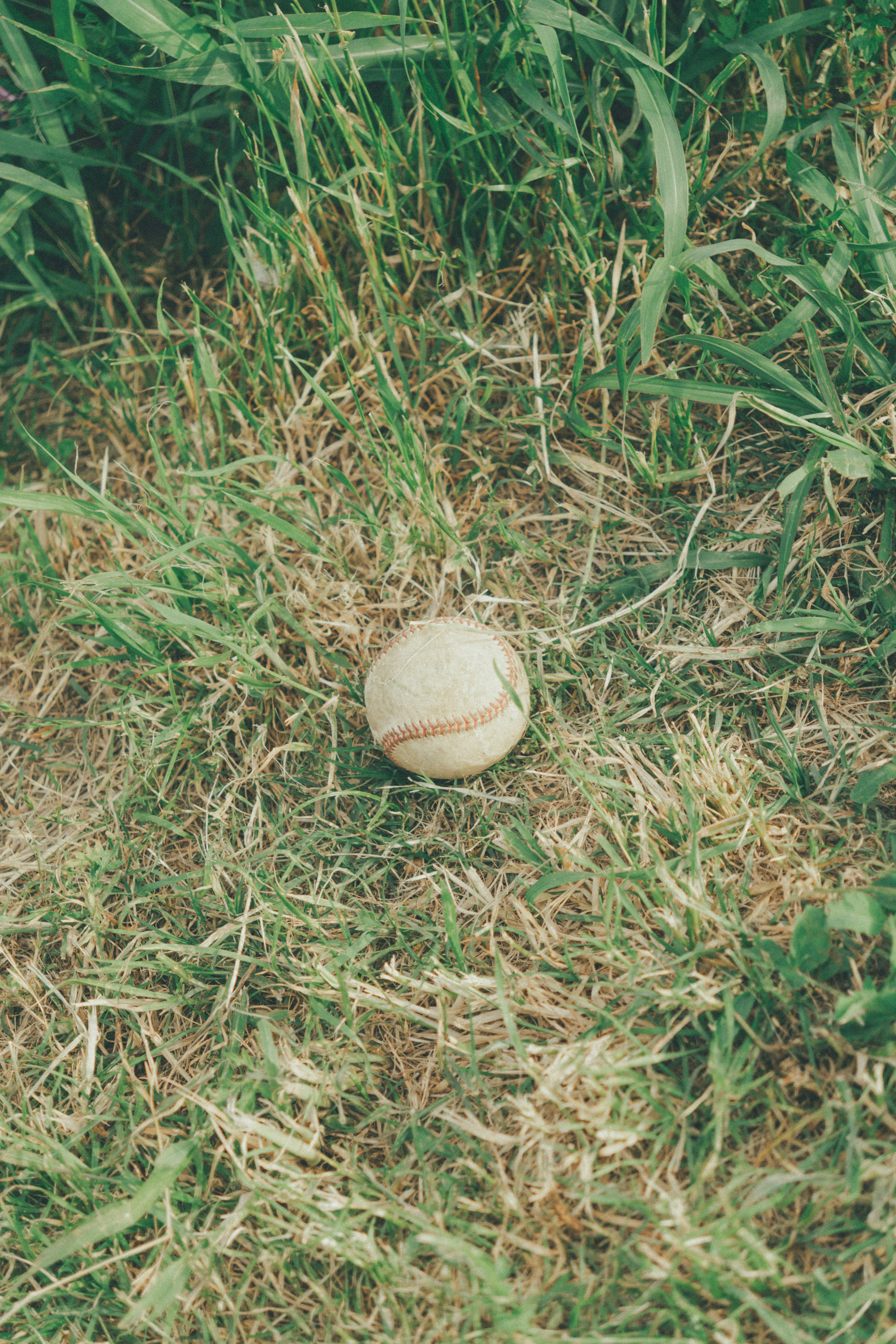 Balle de baseball reposant sur l'herbe