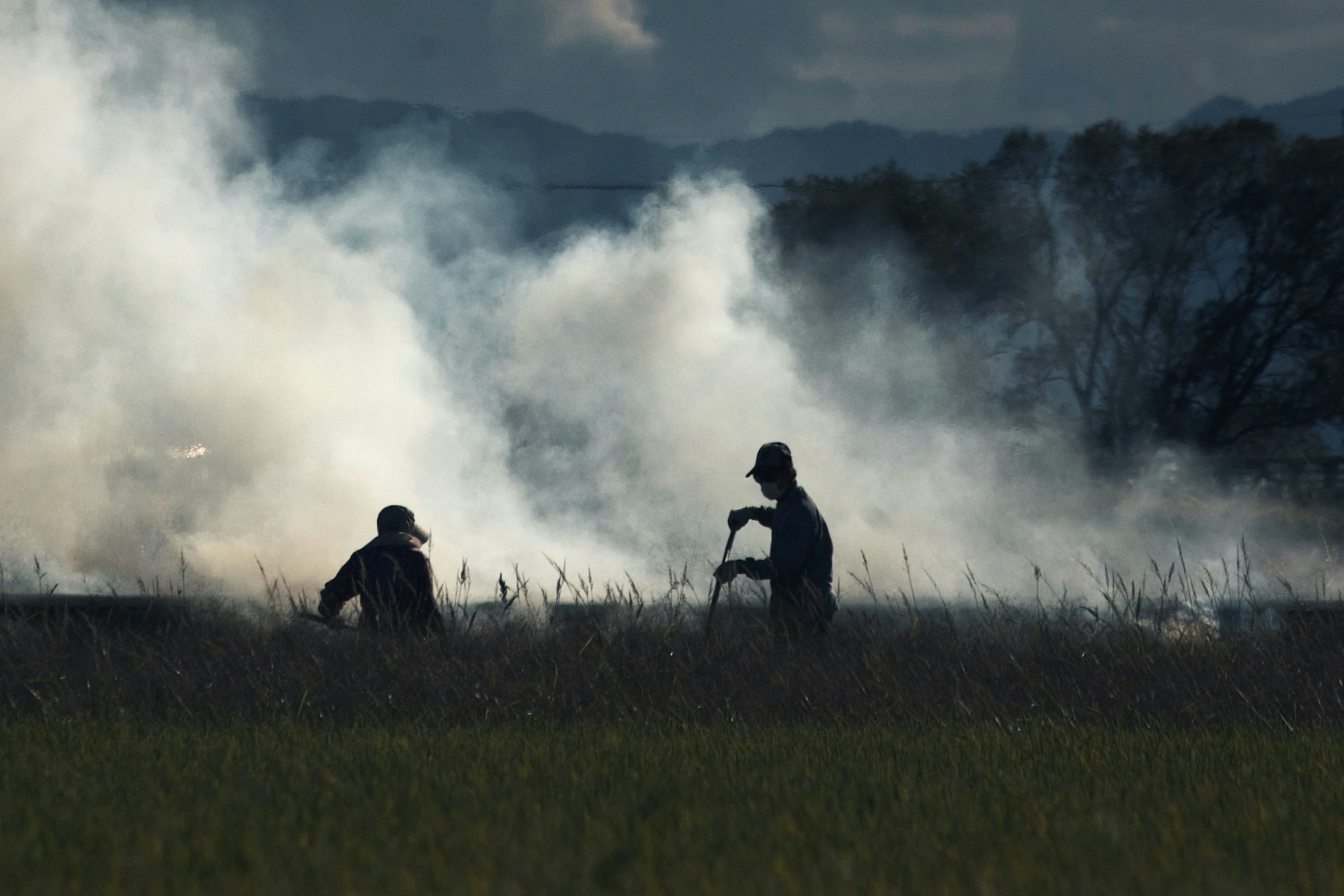 Due figure che lavorano nella nebbia con sfondo naturale