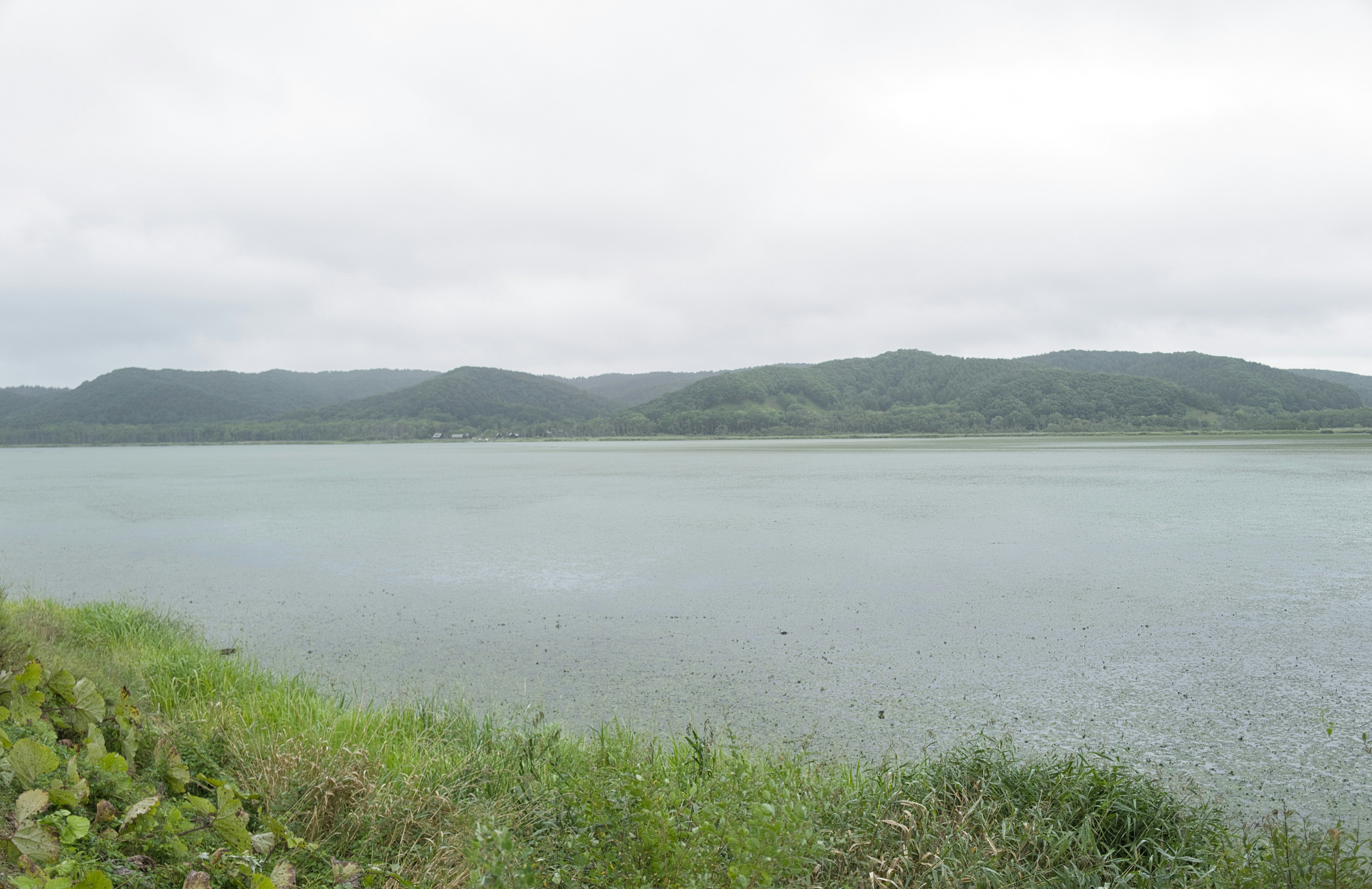 ruhiger See mit grünem Grasland und fernen Hügeln