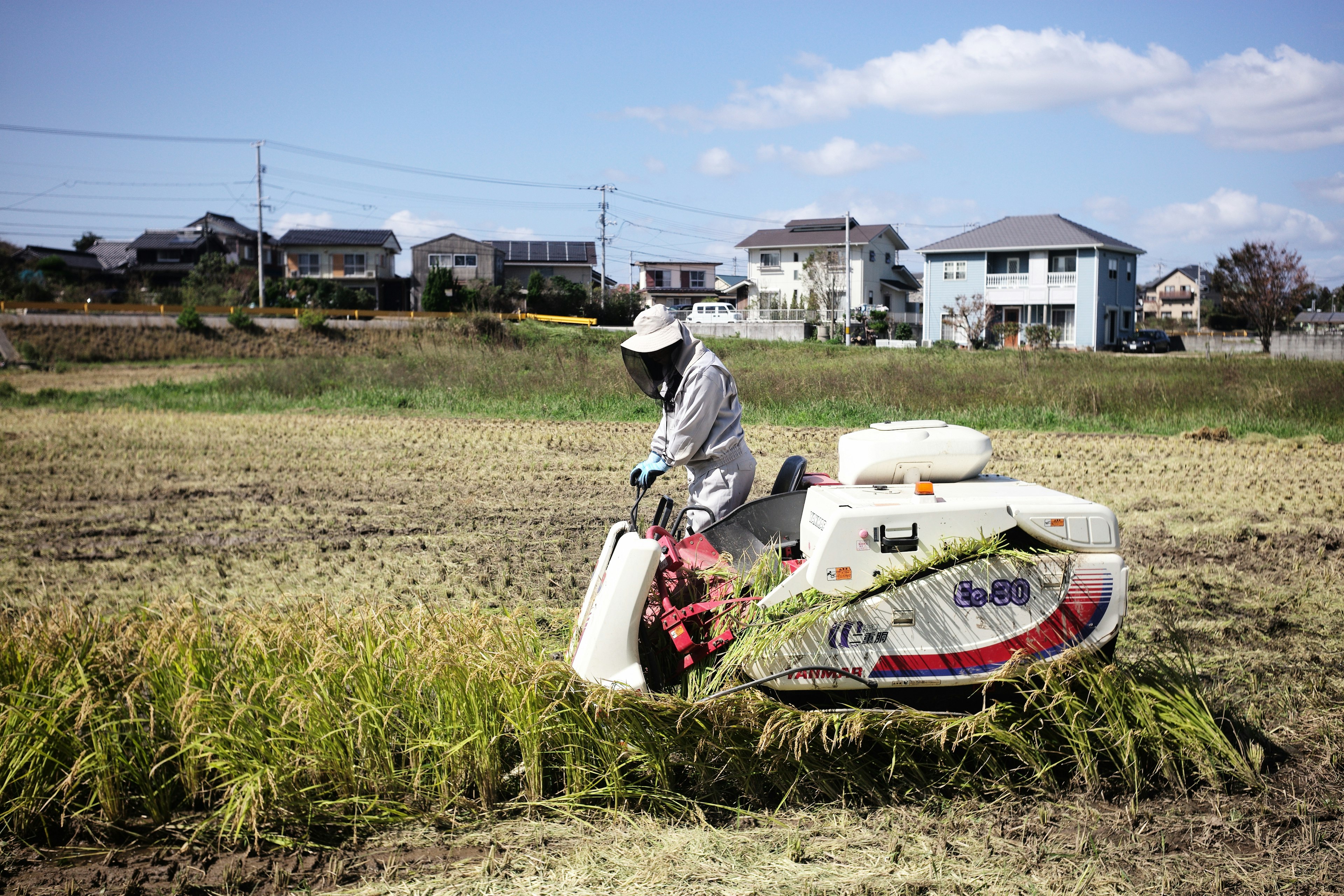 田んぼで稲を収穫している農機具と作業者