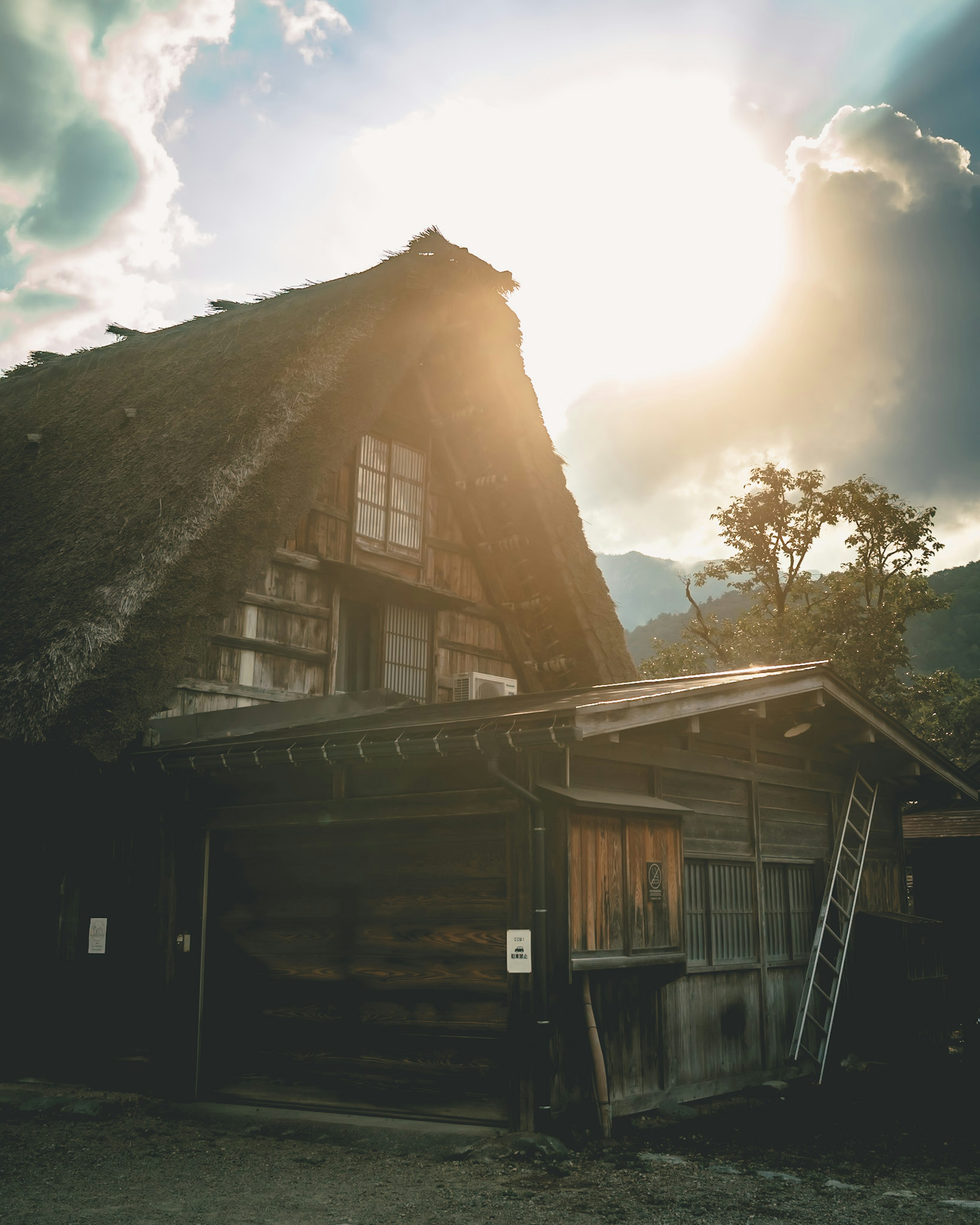 伝統的な茅葺き屋根の家と背後に山の風景