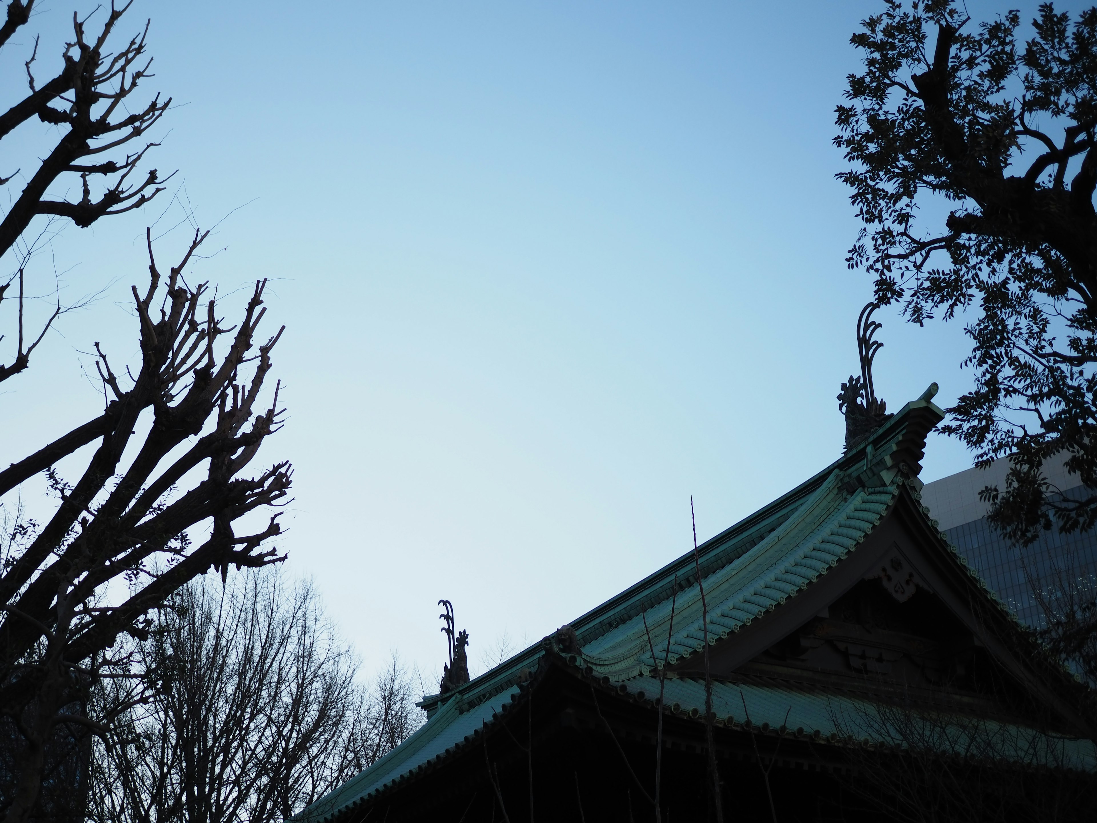 青空の下にある伝統的な屋根の寺院、周囲には剪定された木々が見える