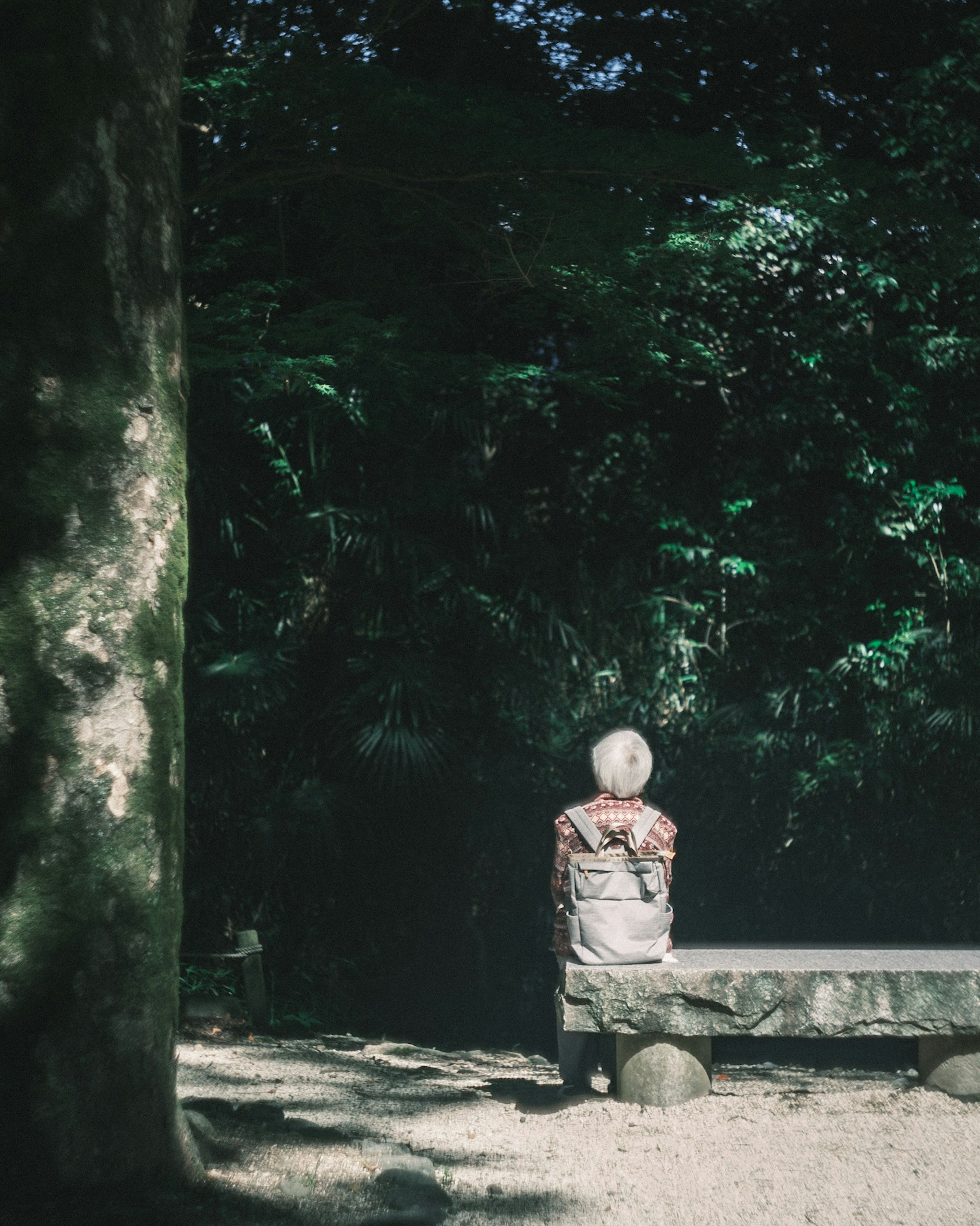 A person sitting on a stone bench in a lush green forest