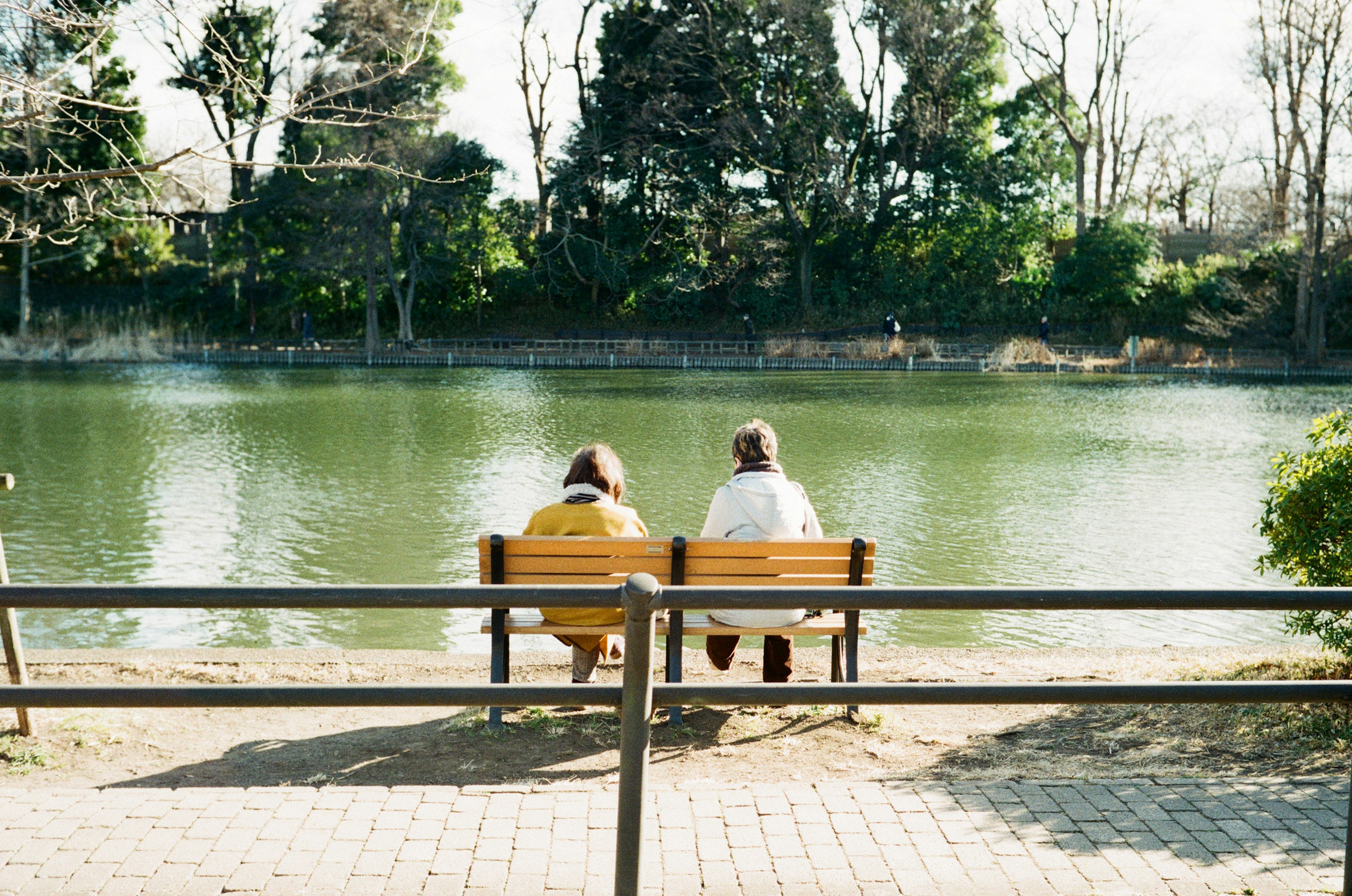 公園のベンチに座る二人の女性　湖と緑の風景　穏やかな日差し