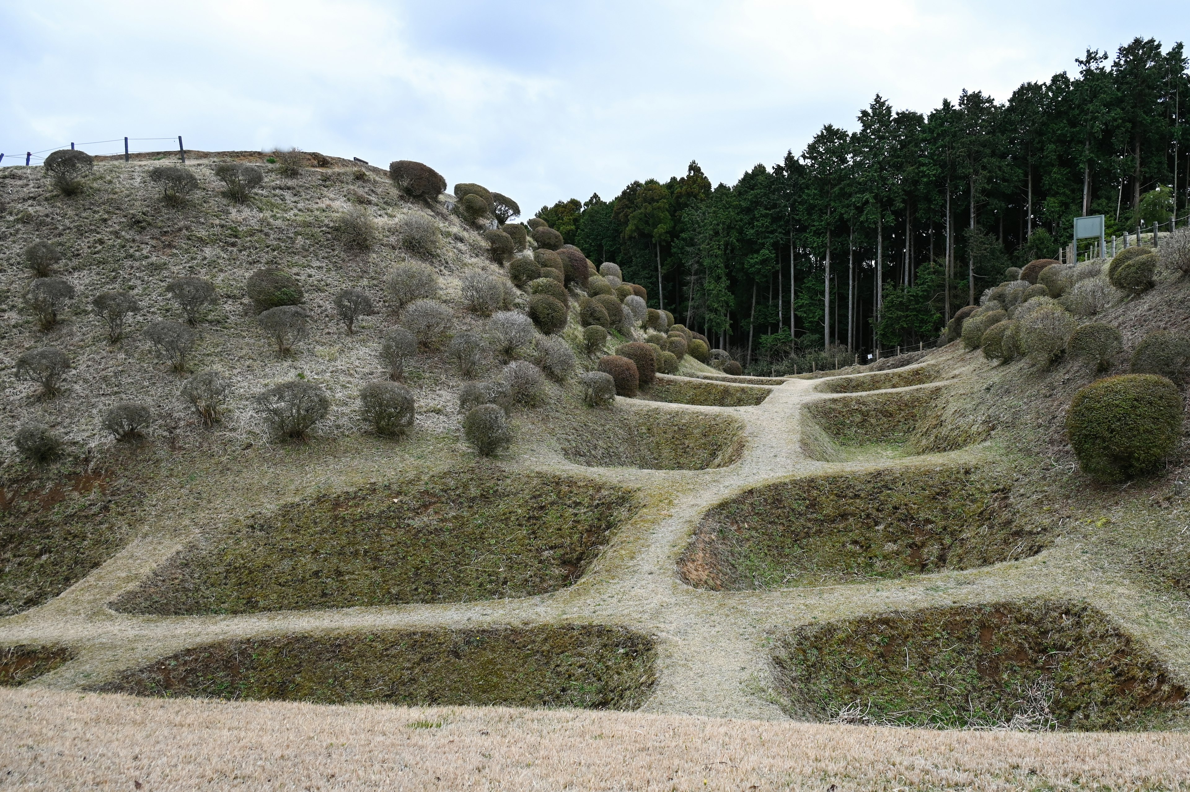 Paisaje con pequeñas colinas y senderos árboles verdes al fondo