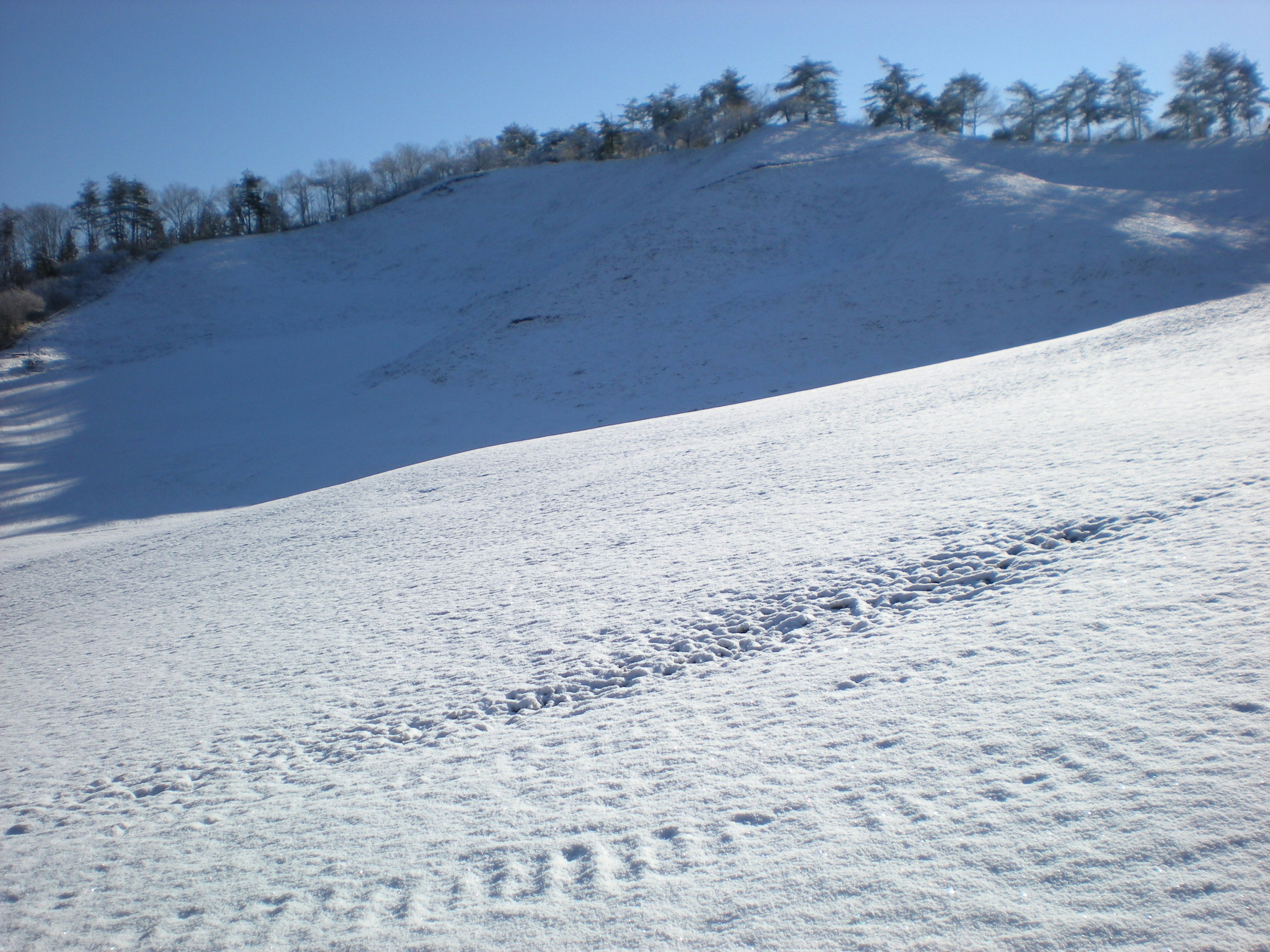 Snow-covered hillside with clear blue sky