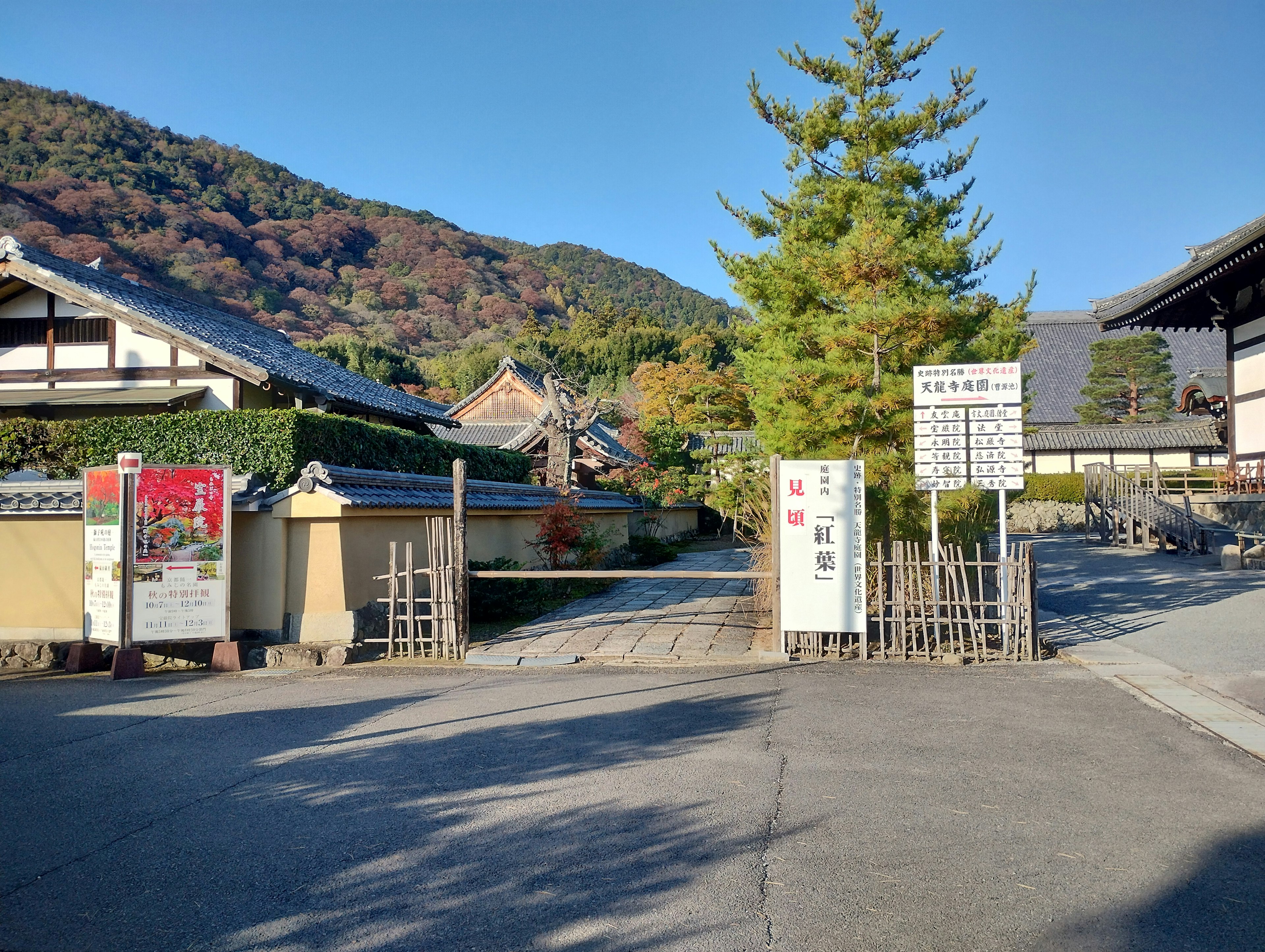 Ruhige Landschaft mit grünen Bäumen und traditionellen japanischen Gebäuden