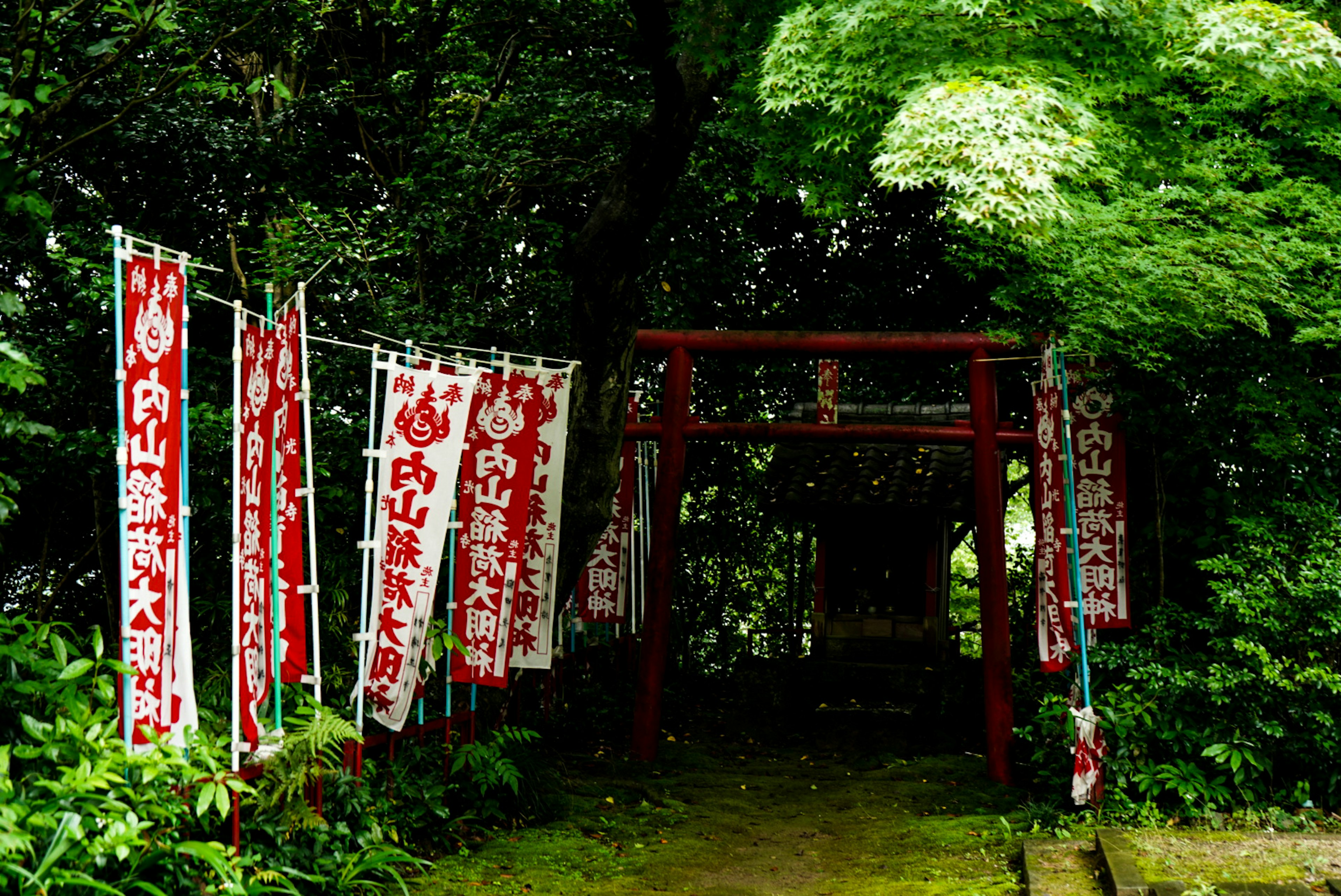 赤い鳥居と白いのぼりが立ち並ぶ神社の入り口の風景