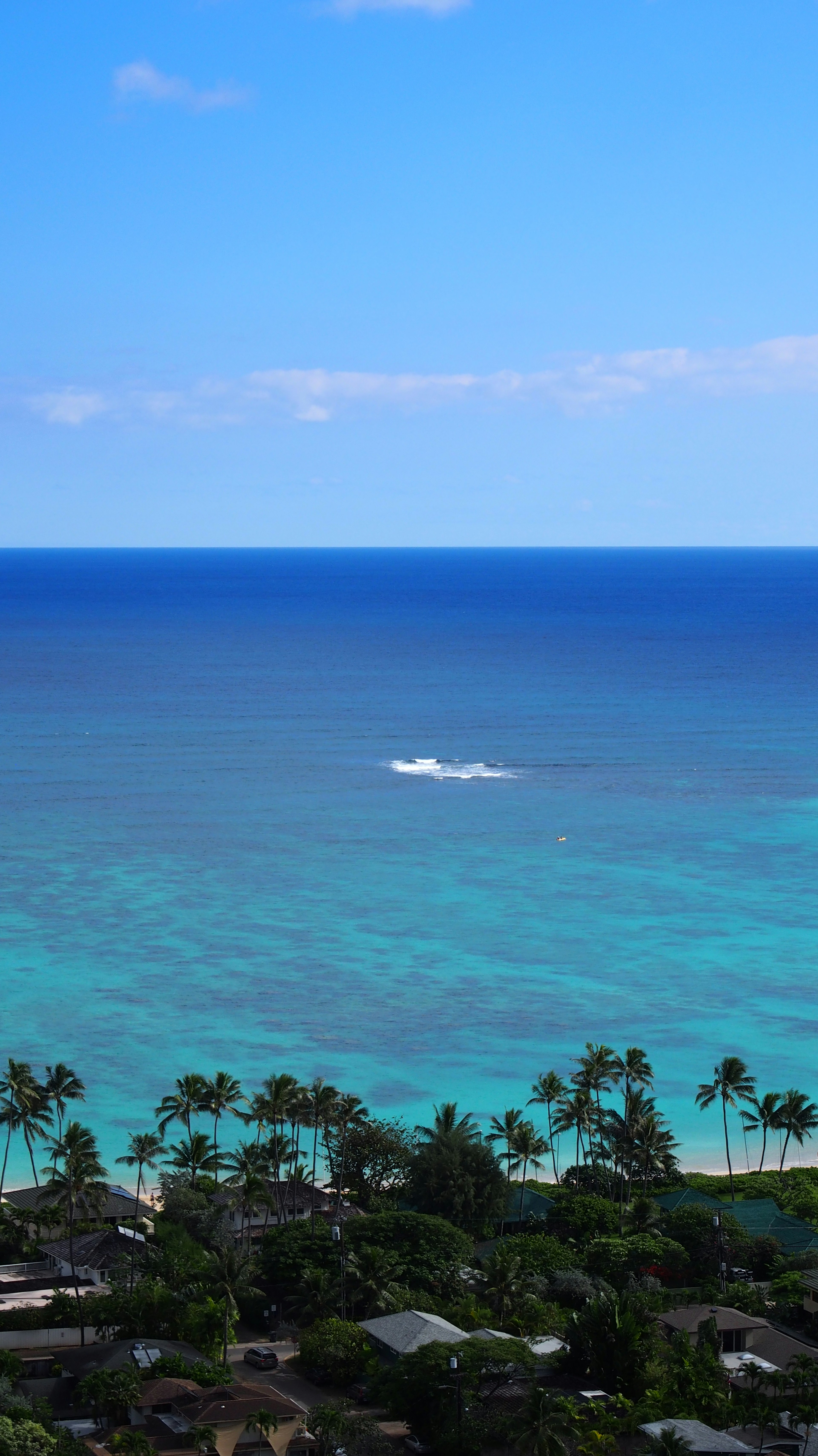 Hermosa vista del mar y el cielo azules con palmeras visibles