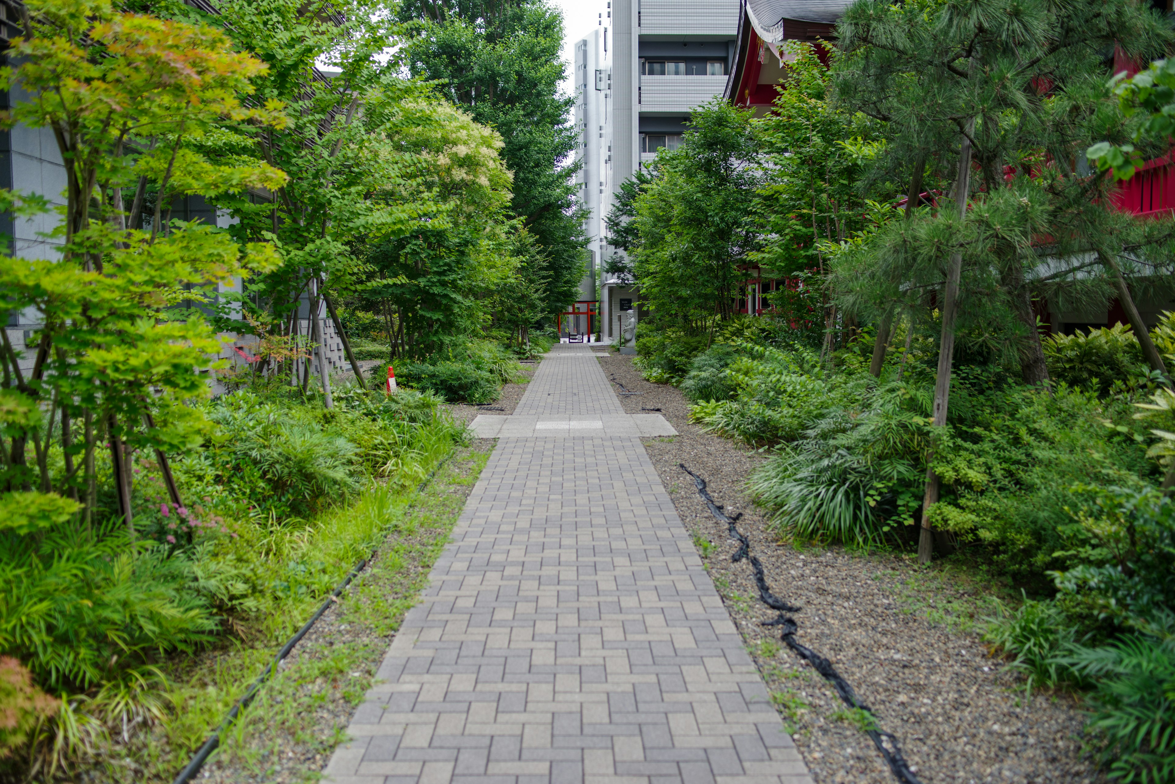 Jalan pemandangan melalui taman rimbun dengan paving batu