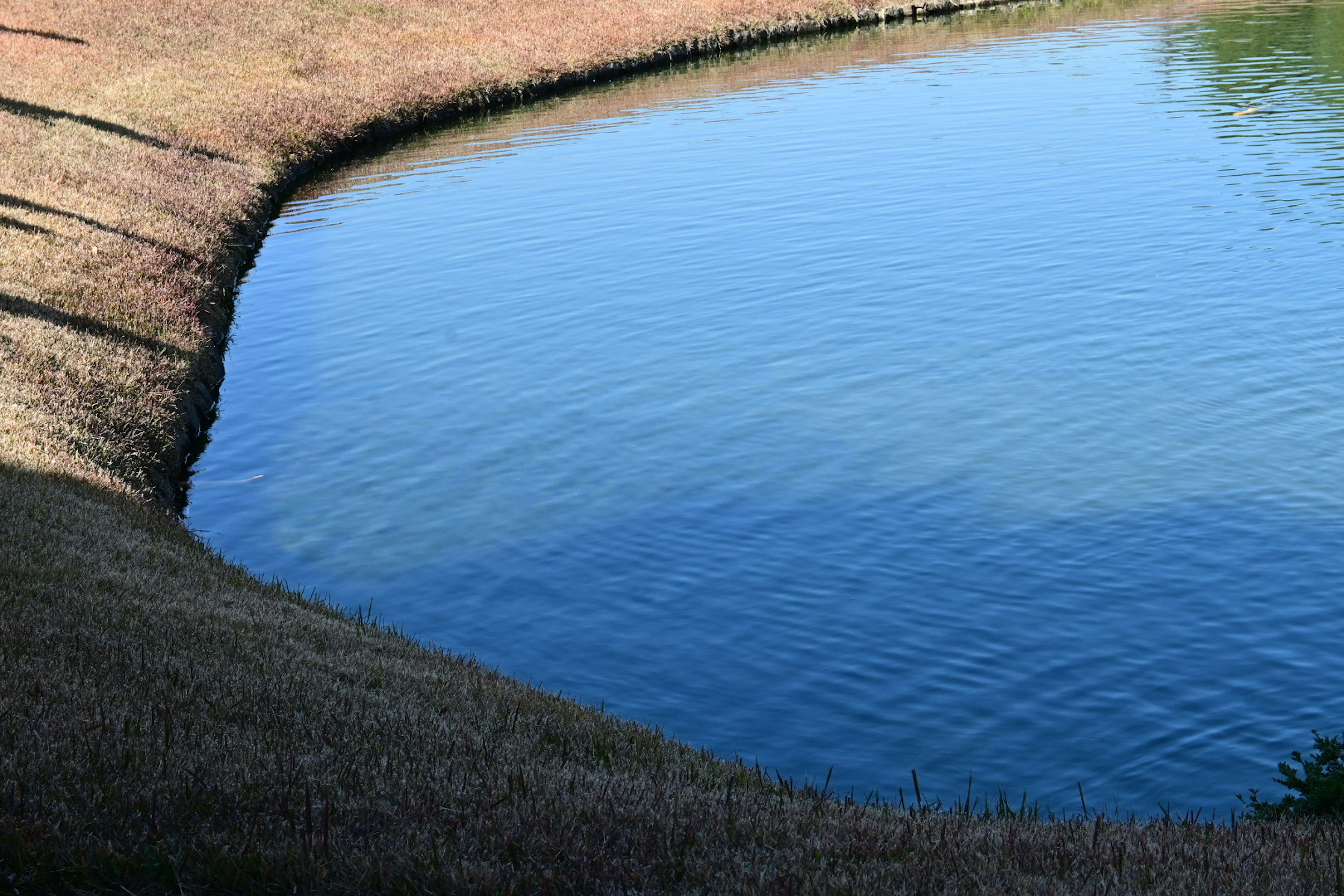 Estanque sereno con agua azul y orilla cubierta de hierba