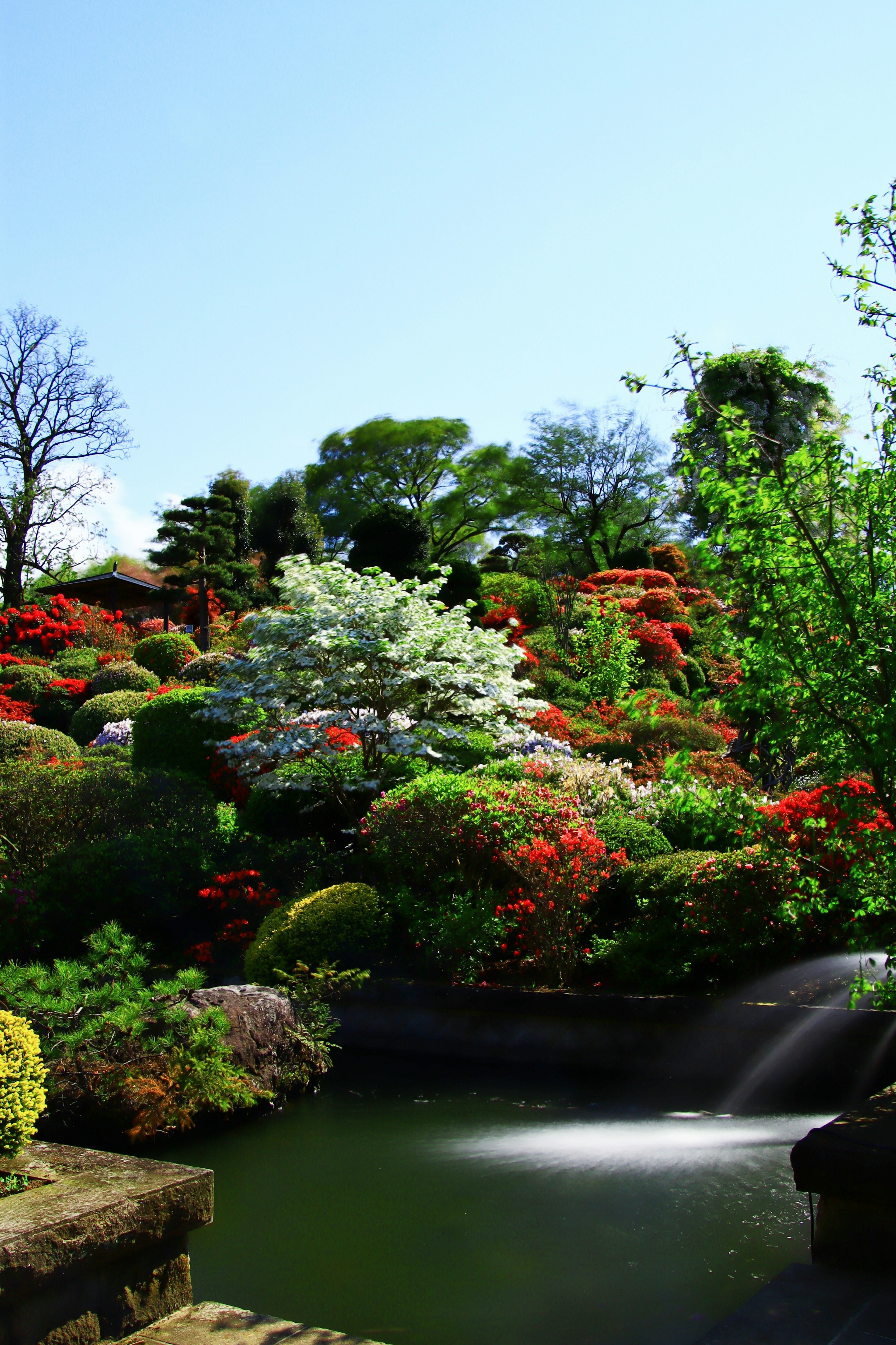 Jardin magnifique avec des fleurs colorées et une verdure luxuriante