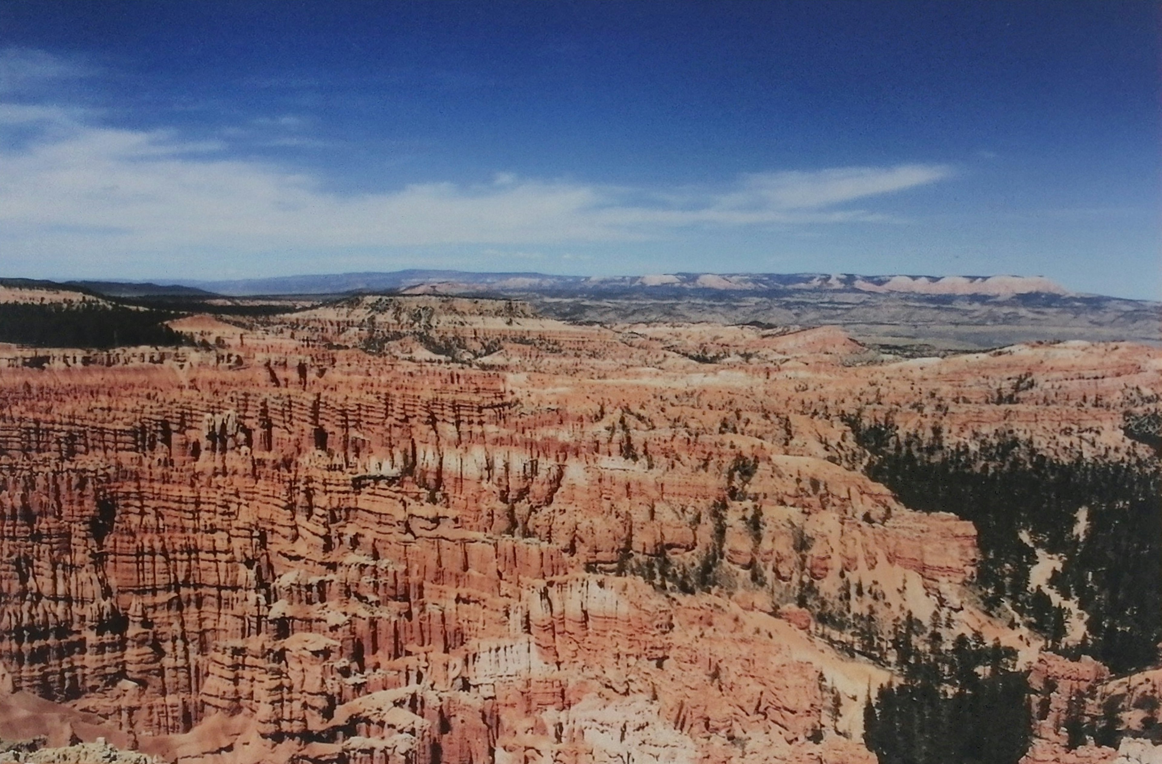 รูปแบบหินสีแดงของ Bryce Canyon ใต้ท้องฟ้าสีฟ้า