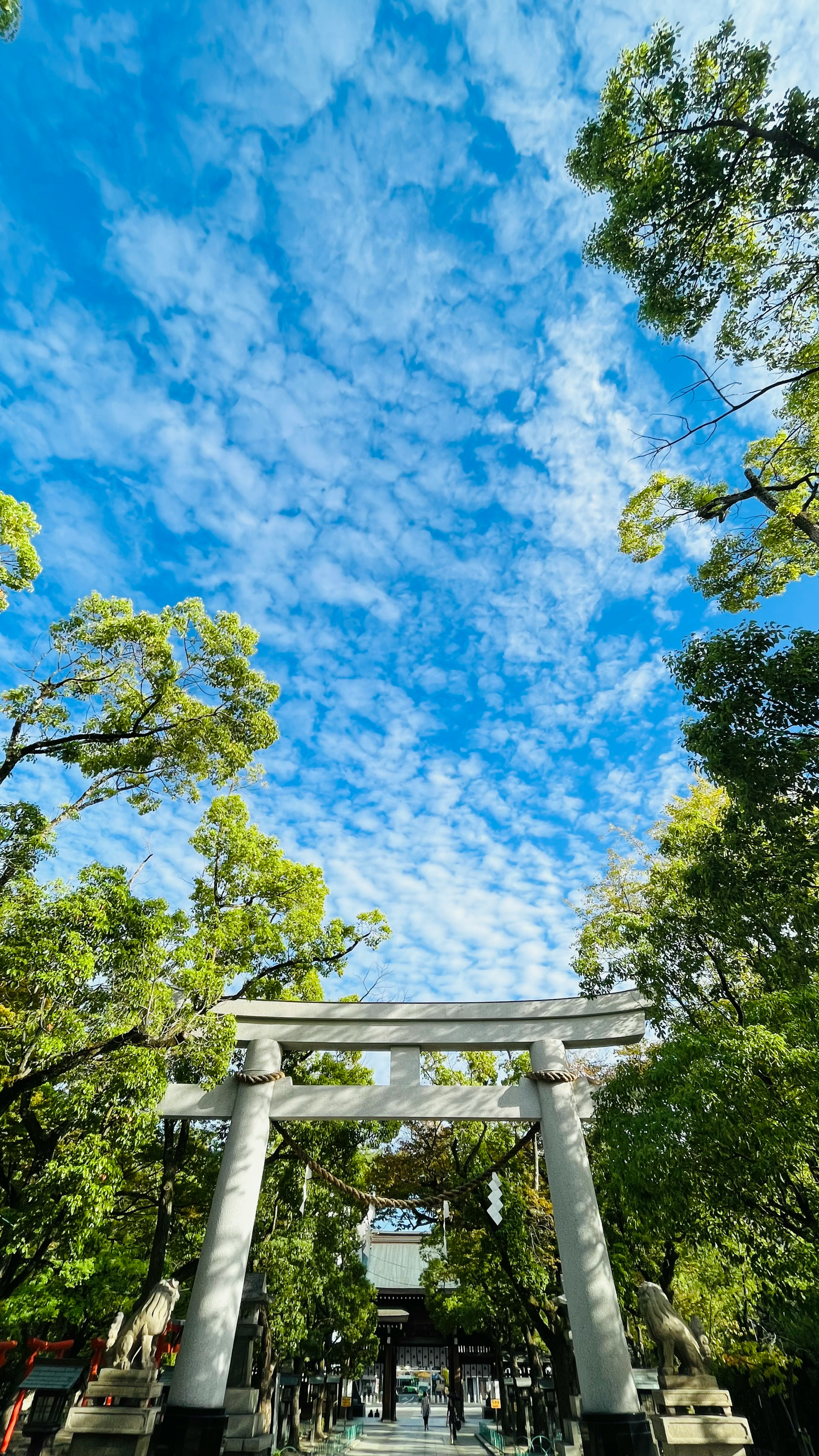 Portale torii circondato da alberi sotto un cielo blu con nuvole