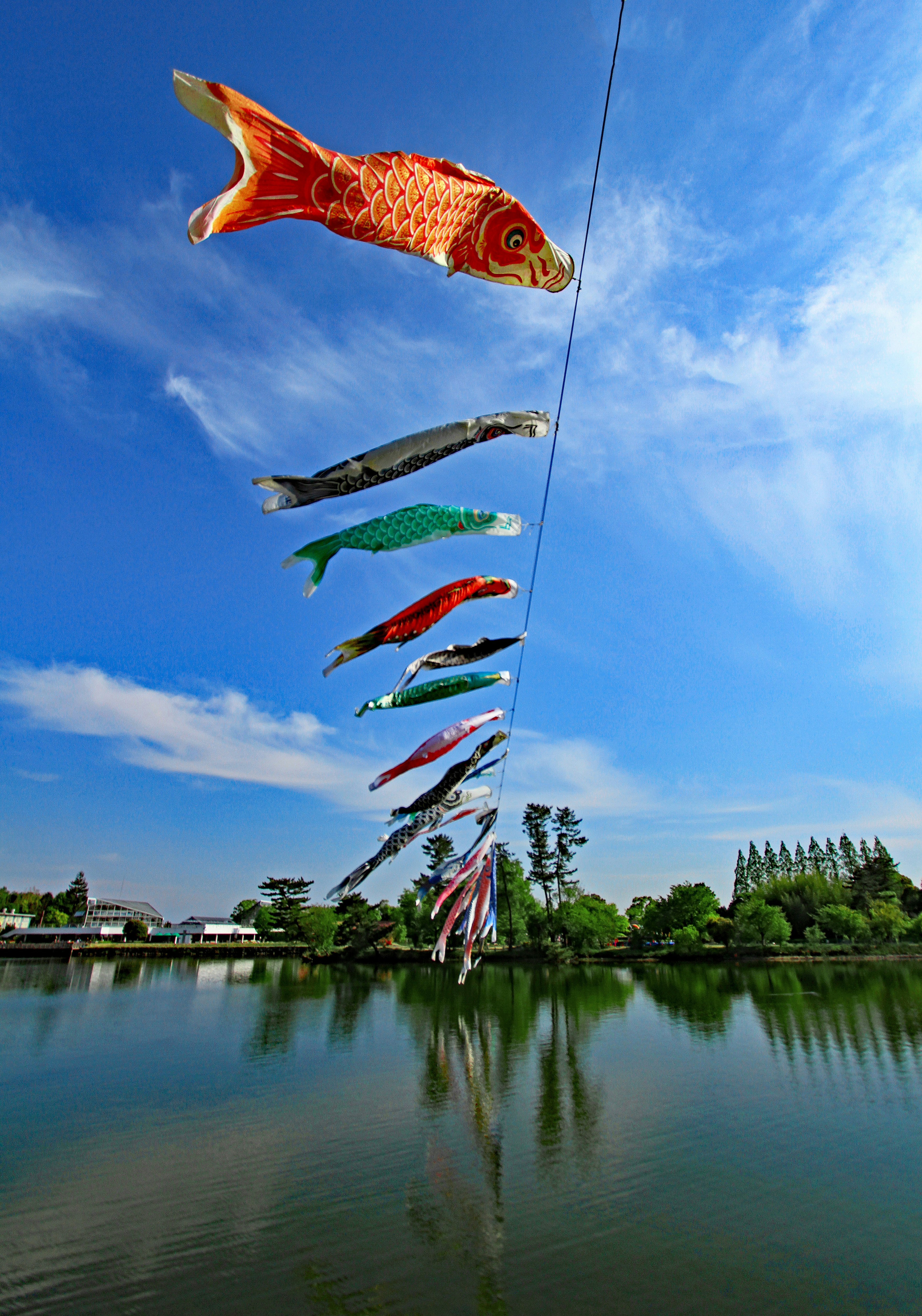 Dekorasi koinobori mengalir di bawah langit biru yang cerah