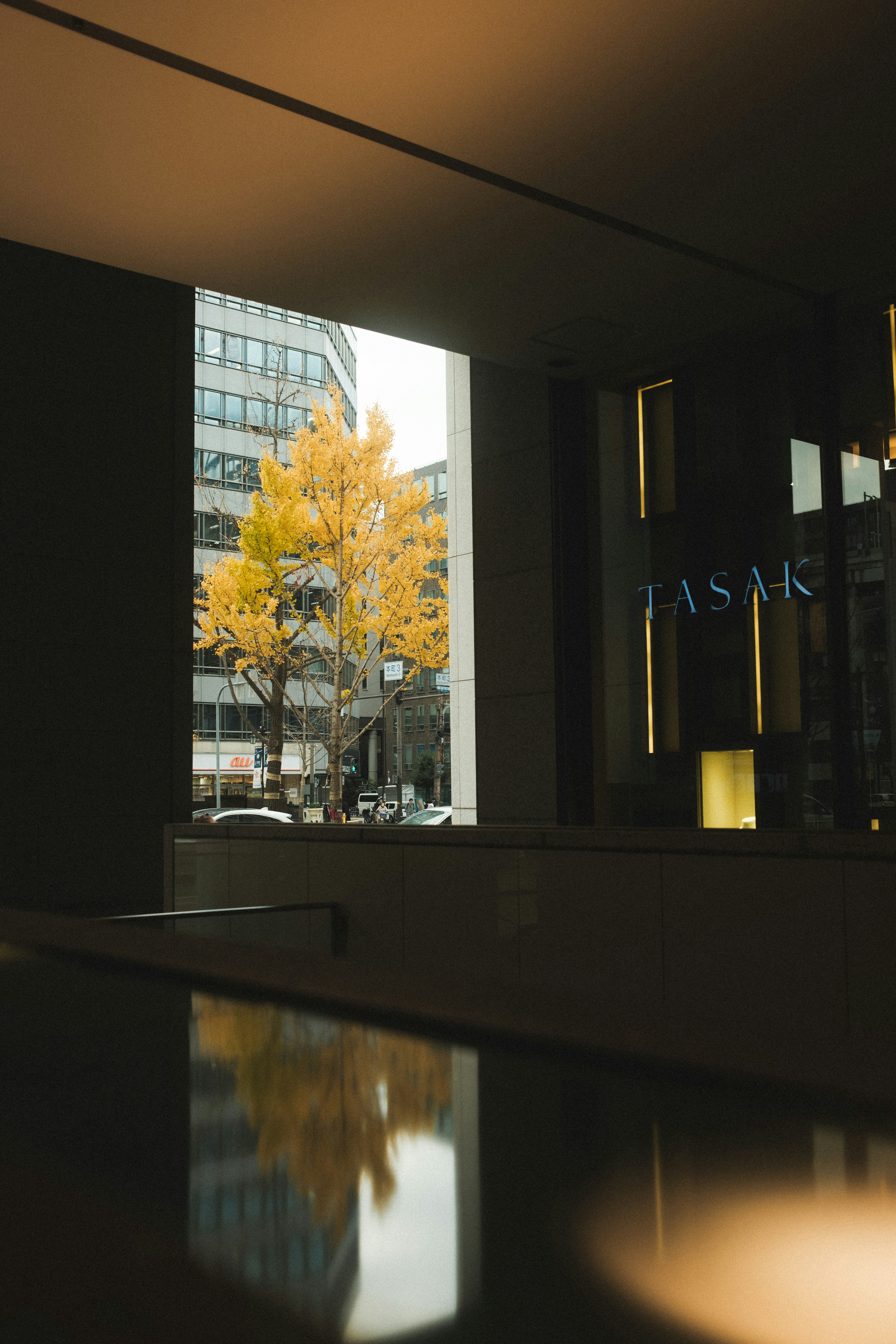 Vista di un albero giallo e di un paesaggio urbano attraverso una finestra di edificio