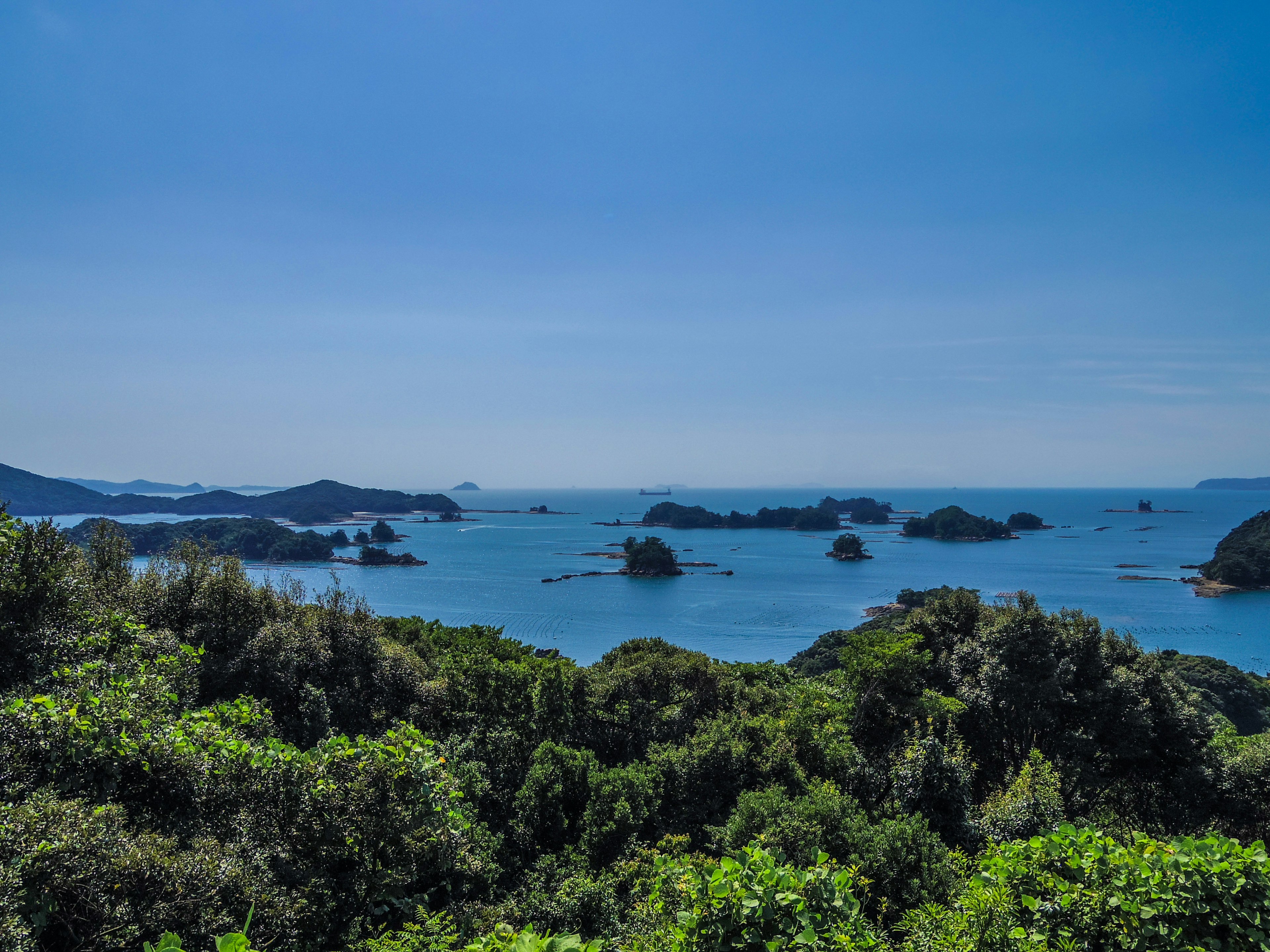 Scenic view of blue ocean and lush greenery