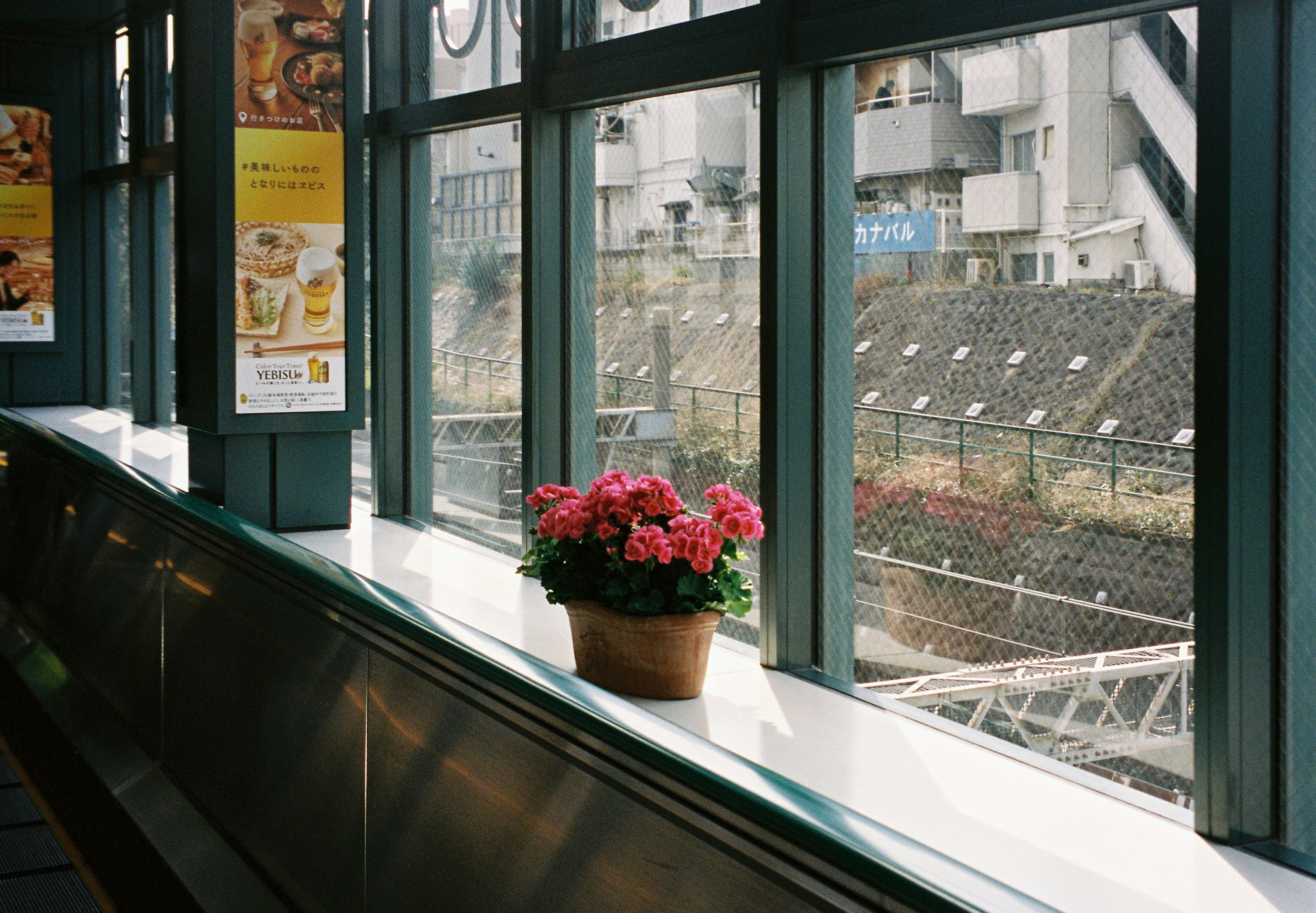 窓際に花が飾られた明るいカフェの内部風景