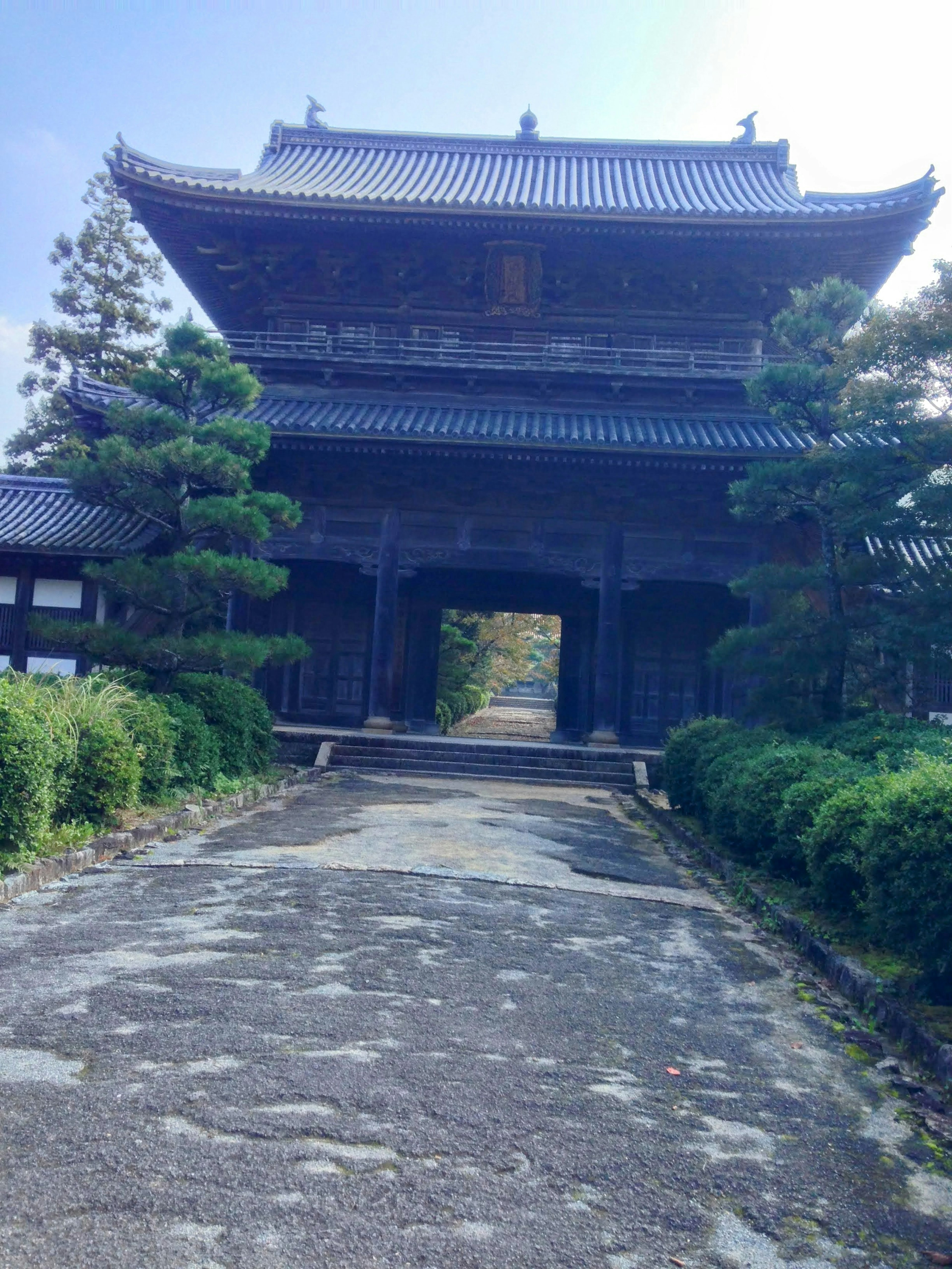 古い日本の寺院の門が見える美しい景色