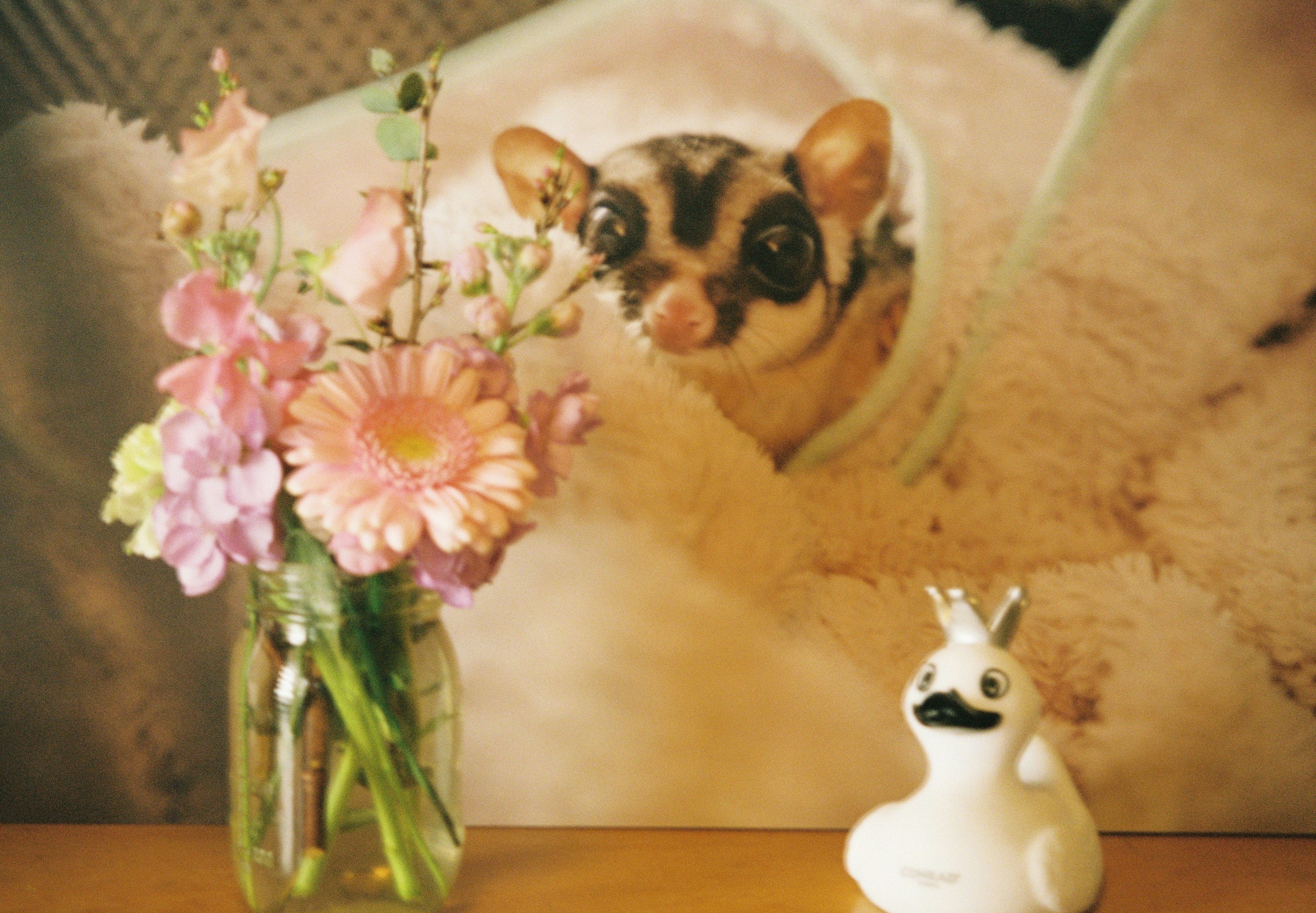 A cute small animal wrapped in a blanket with a vase of flowers