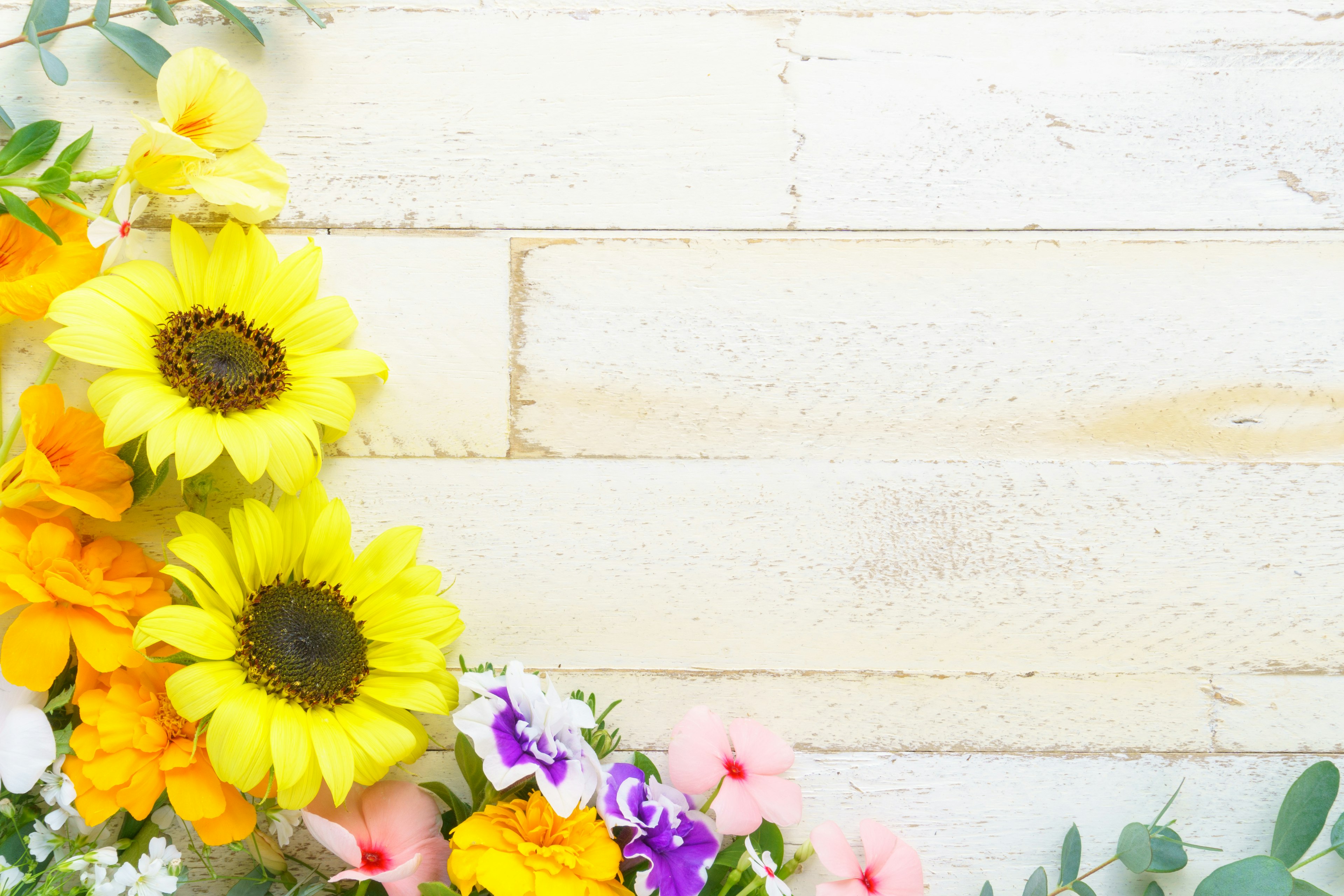 Brightly colored flowers arranged on a wooden background