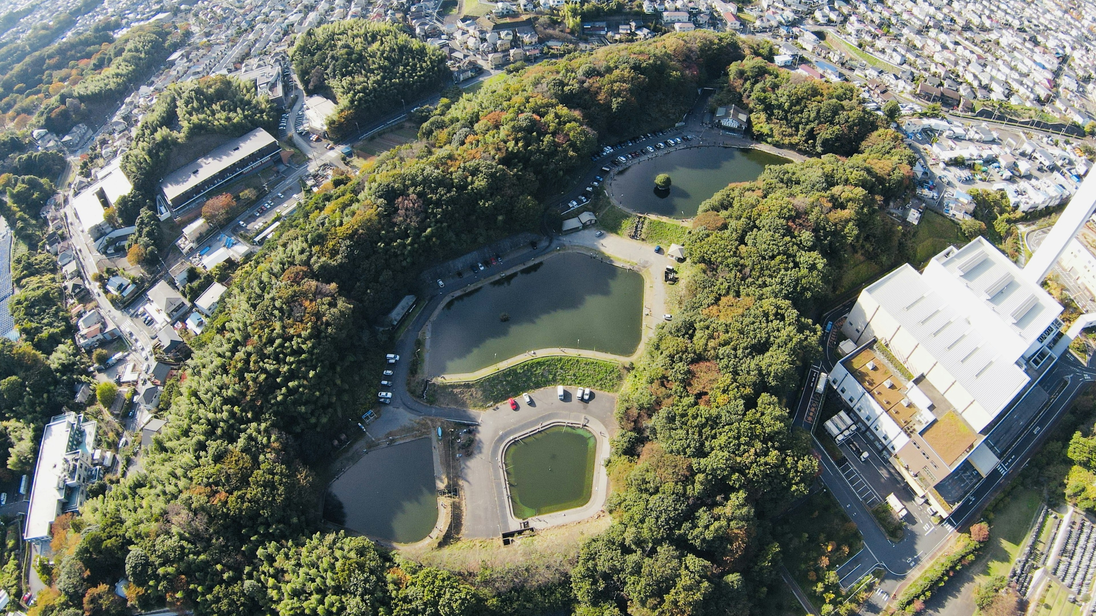 Vue aérienne d'un parc verdoyant avec des étangs